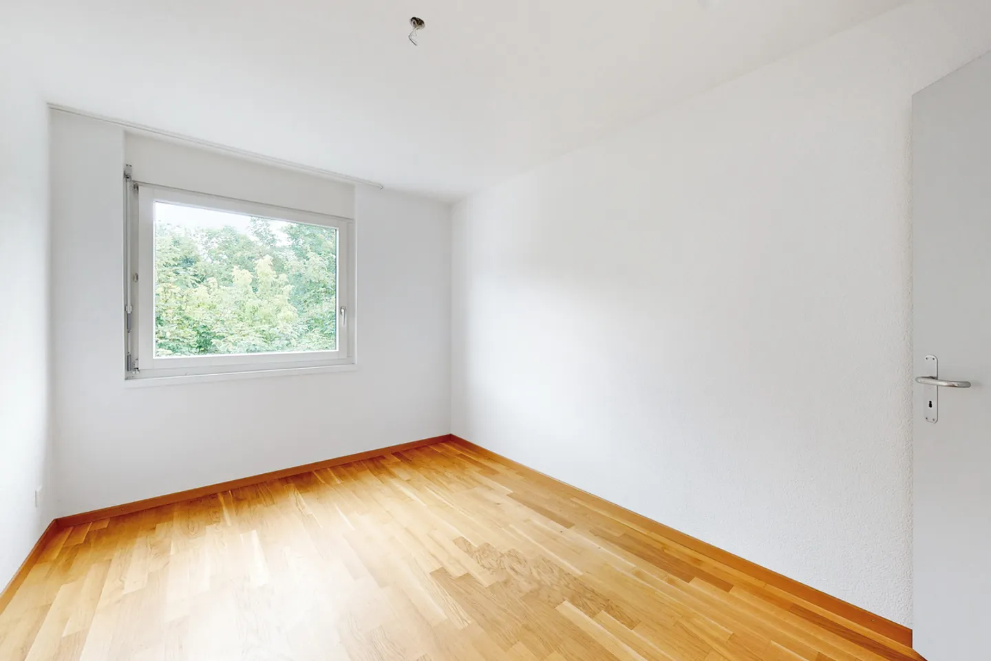 Ti piace l'eccentrico? Sei nel posto giusto! - Foto 8 di 12