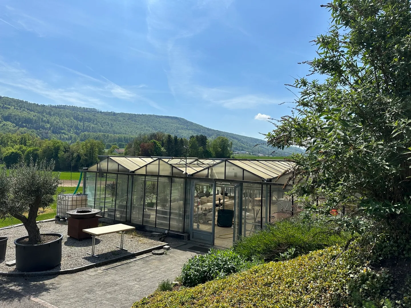 Vivai su 4.000 m2 di terreno e vari posti auto - Foto 1 di 7