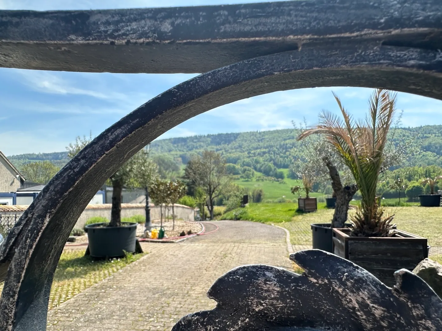 Vivai su 4.000 m2 di terreno e vari posti auto - Foto 2 di 7