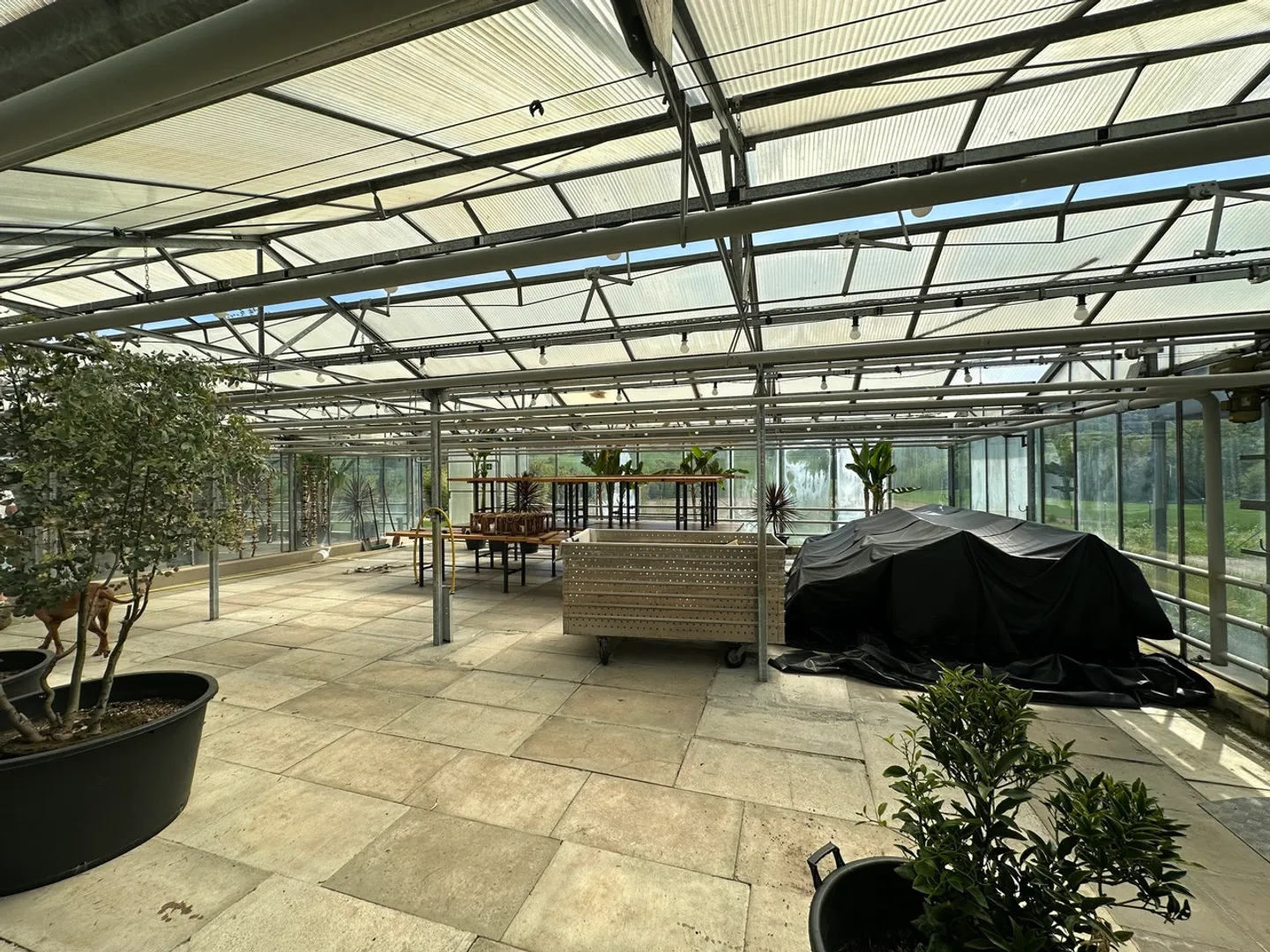 Vivai su 4.000 m2 di terreno e vari posti auto - Foto 3 di 7