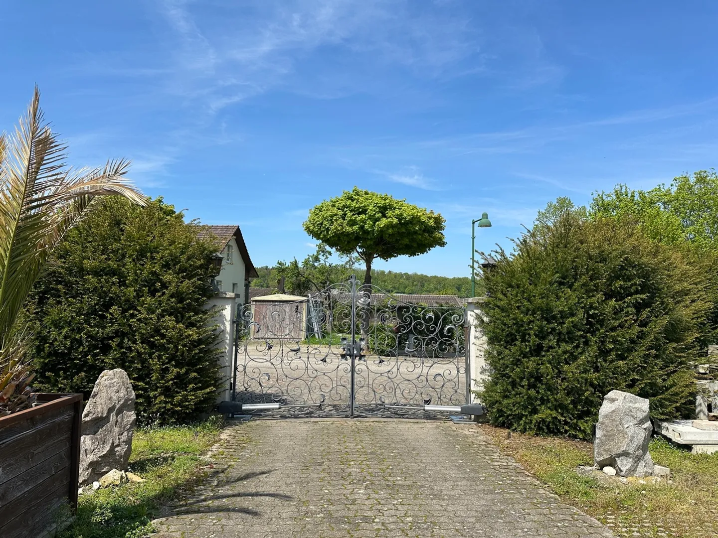 Vivai su 4.000 m2 di terreno e vari posti auto - Foto 7 di 7