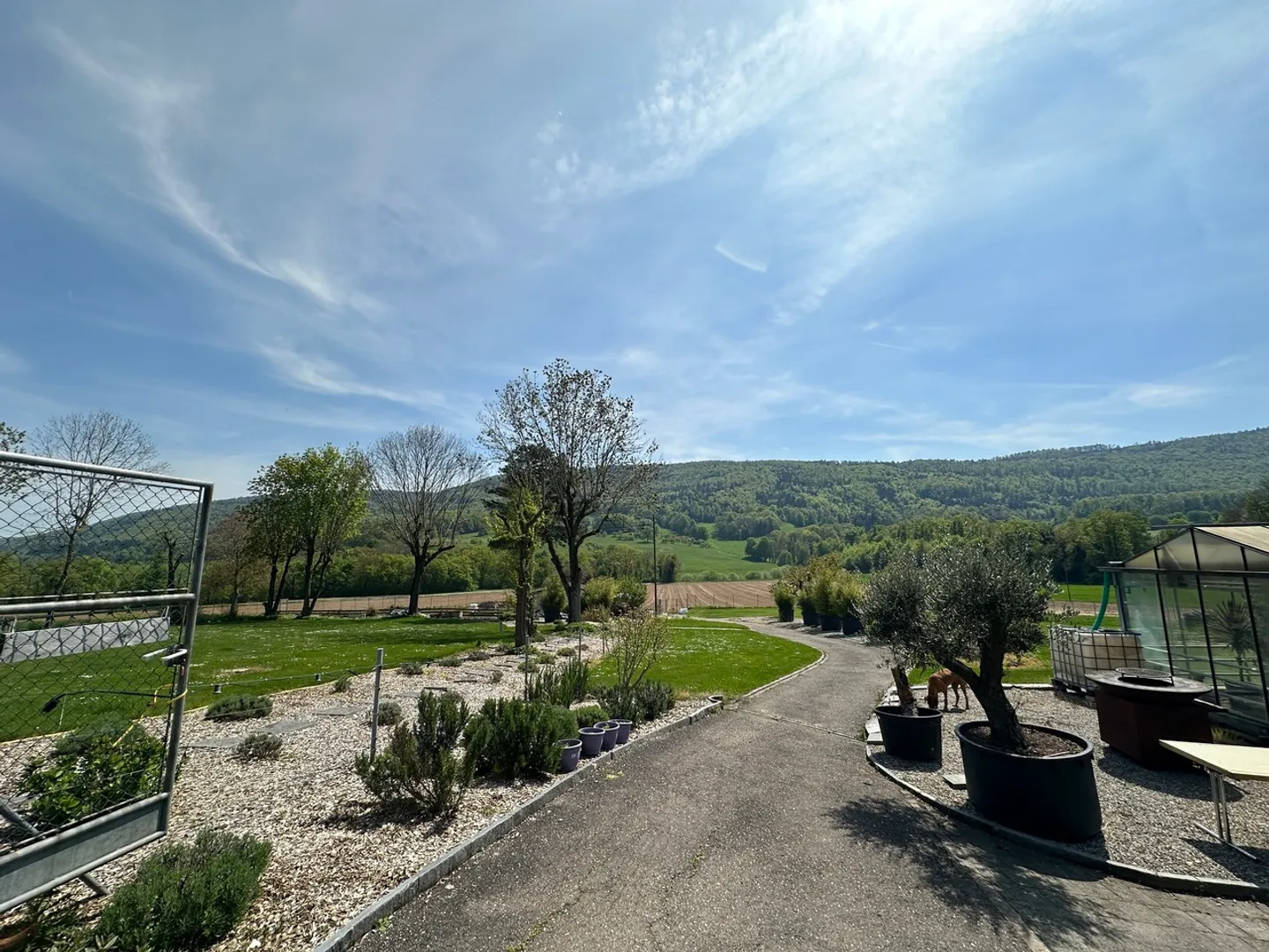 Vivai su 4.000 m2 di terreno e vari posti auto - Foto 5 di 7