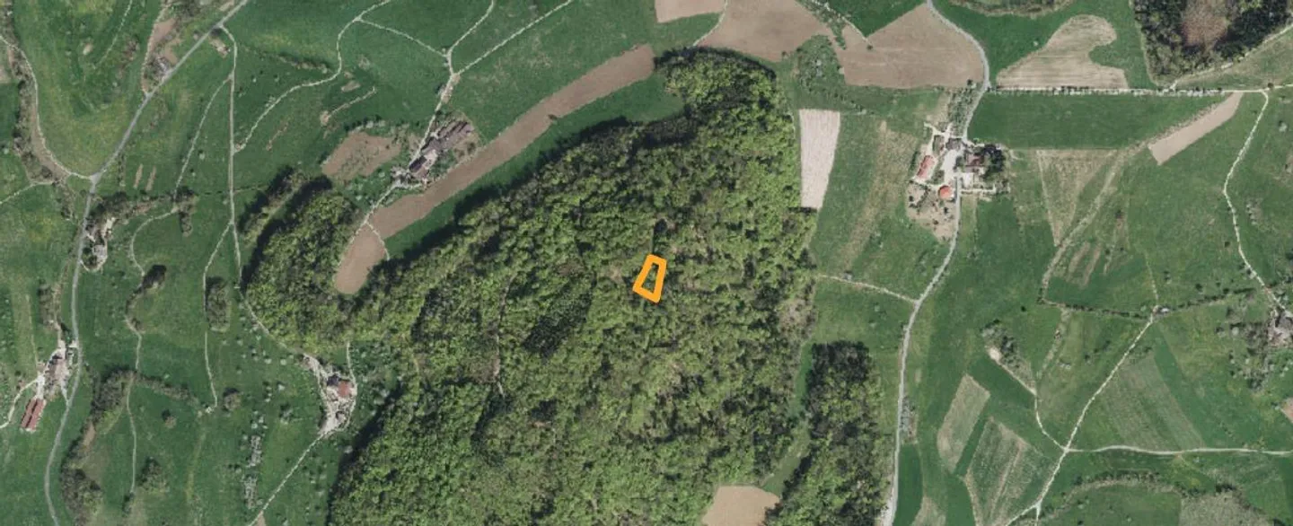 Terrain - Photo 1 sur 2