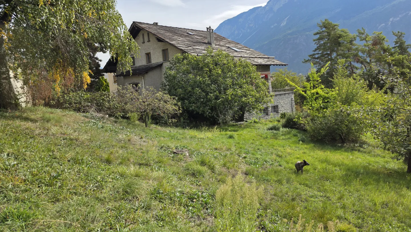 terrain lucratif centre ville pour habitat groupé - Photo 3 sur 40