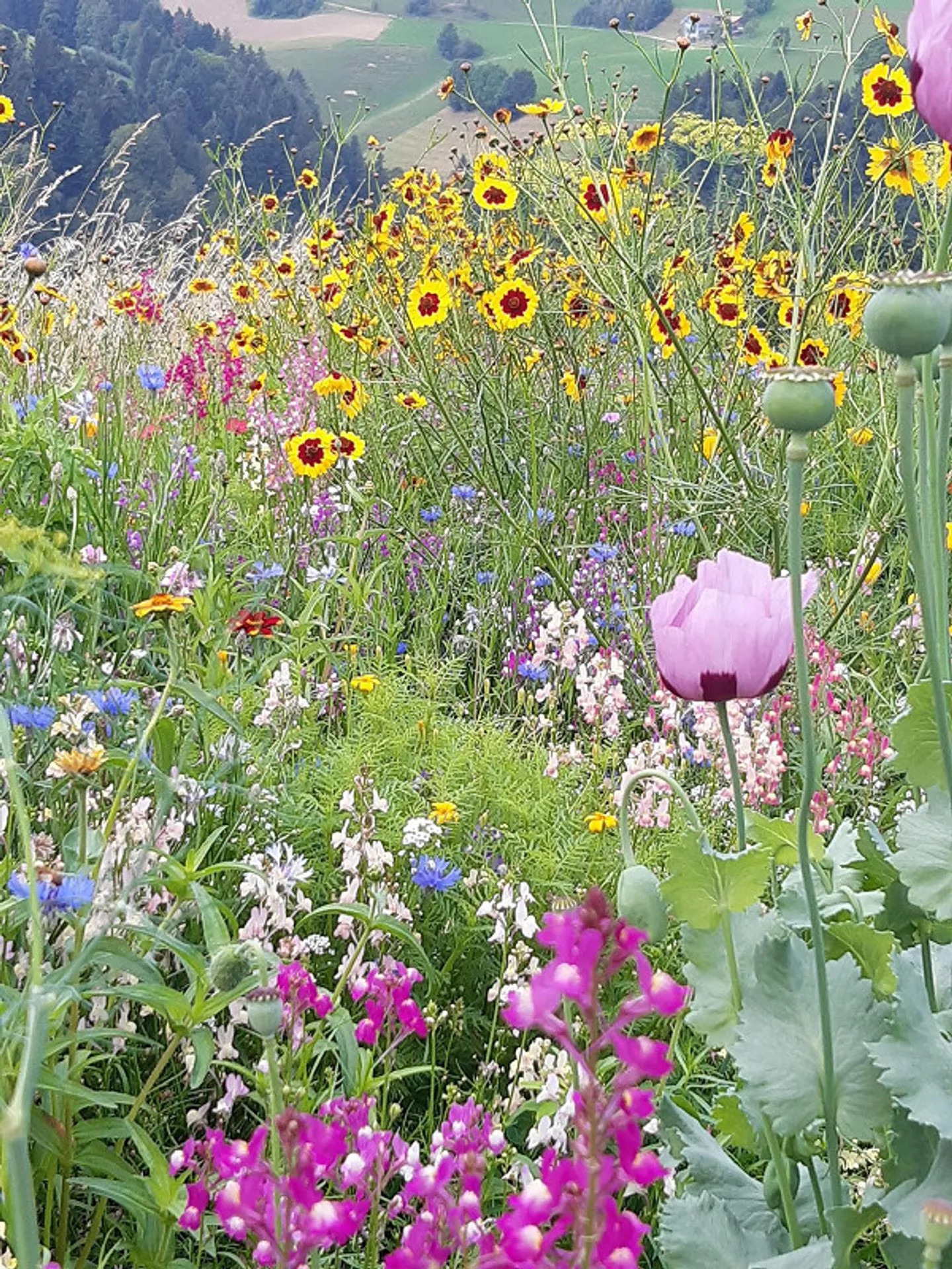 Bel appartement sous les combles, lumineux et bien isolé, avec vue sur la verdure - Photo 11 sur 12