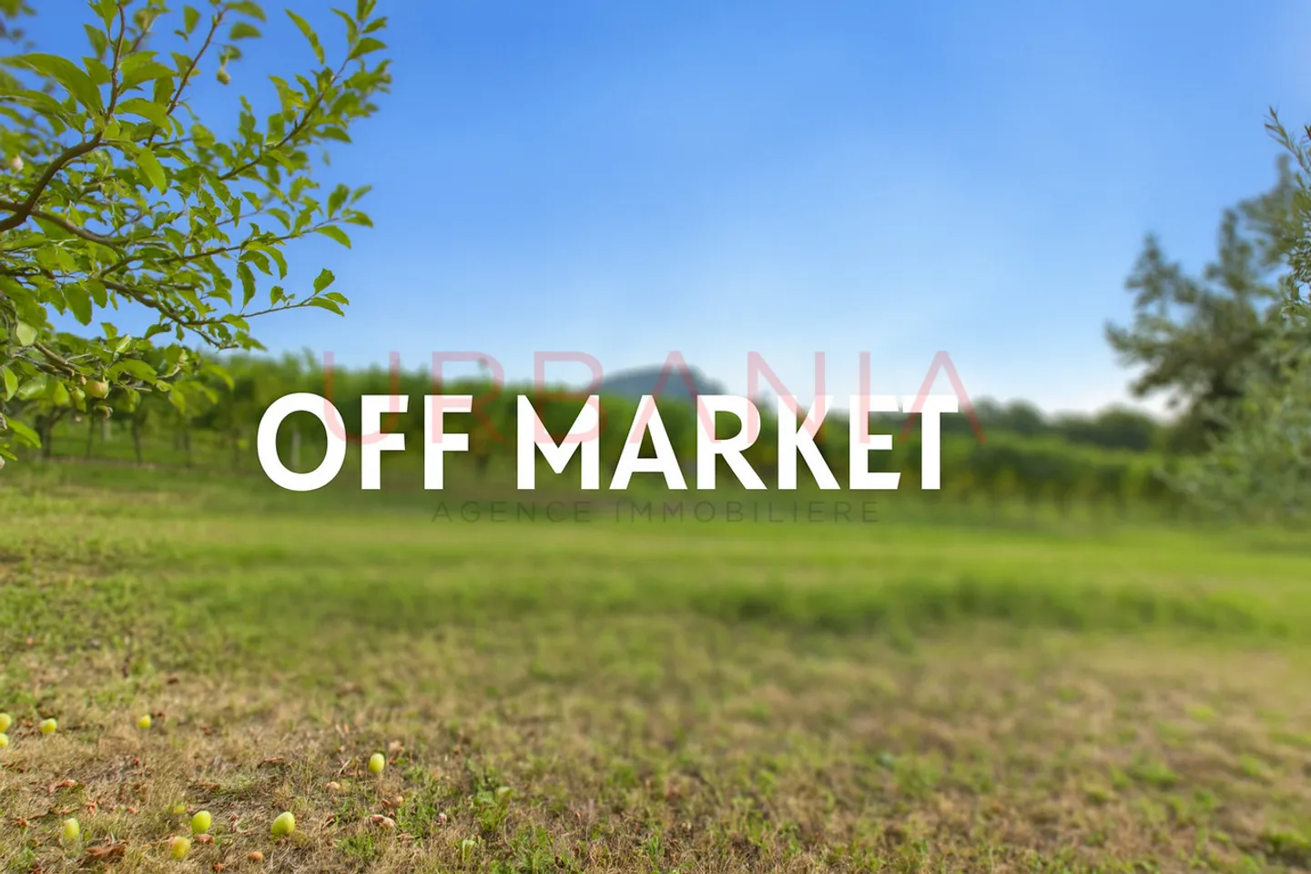 Proprietà straordinaria nel cuore della campagna ginevrina - Foto 1 di 1