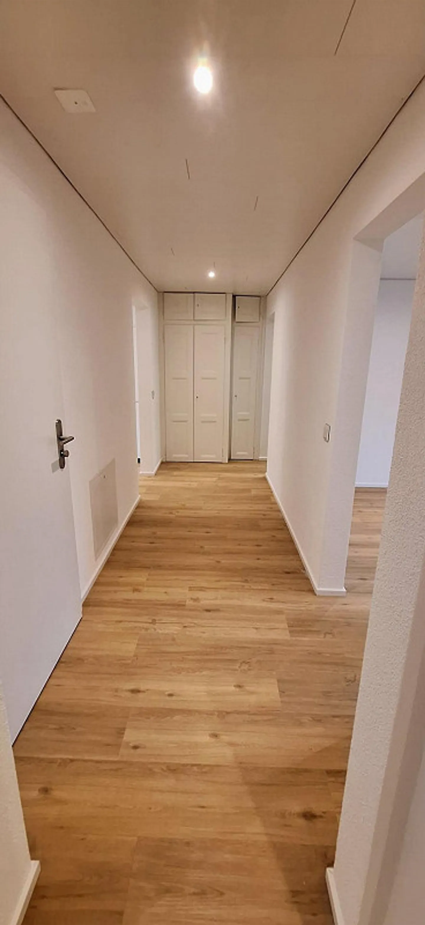 Freshly renovated 3.5-room apartment - Photo 8 of 11