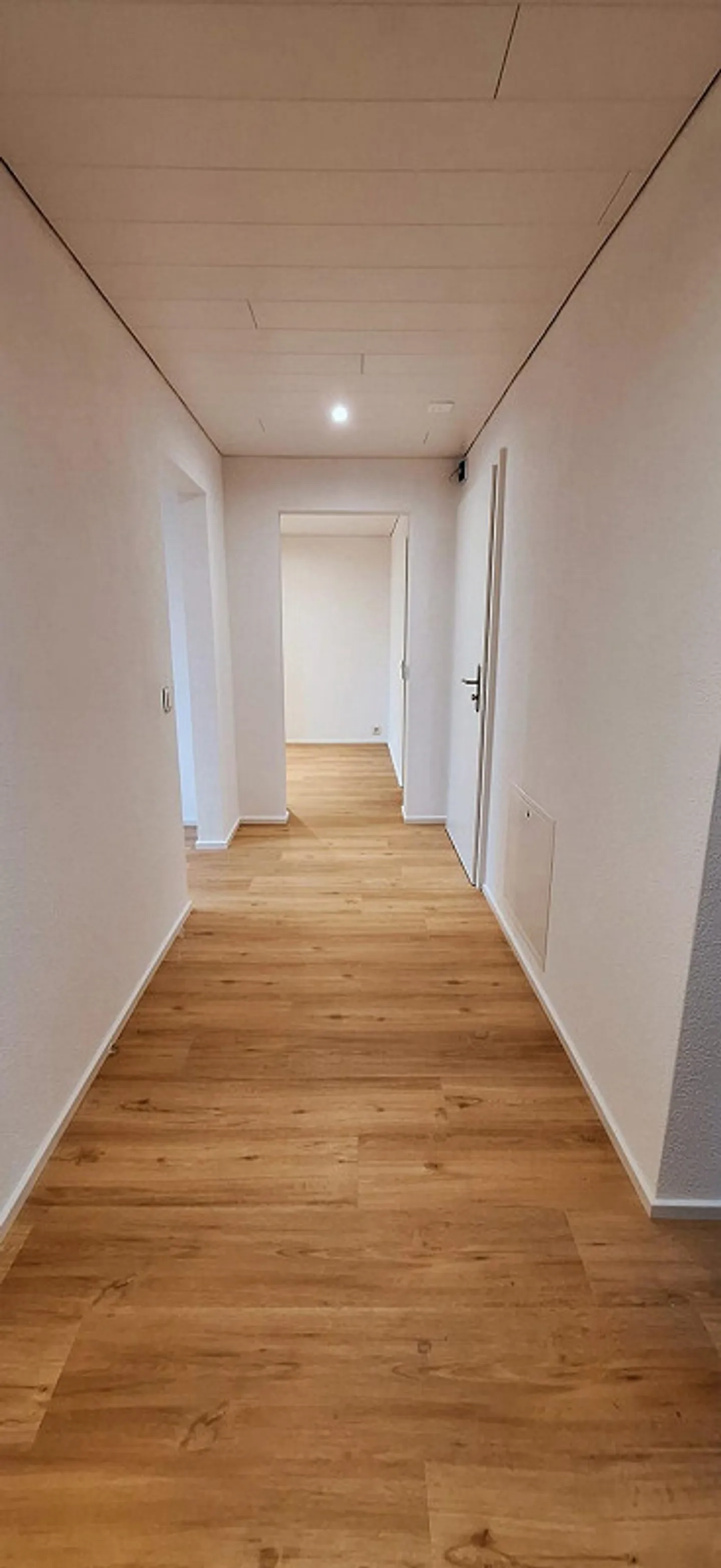 Freshly renovated 3.5-room apartment - Photo 9 of 11