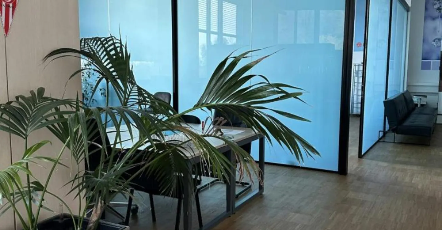 Charmantes Büro mit Seeblick - Foto 5 von 12