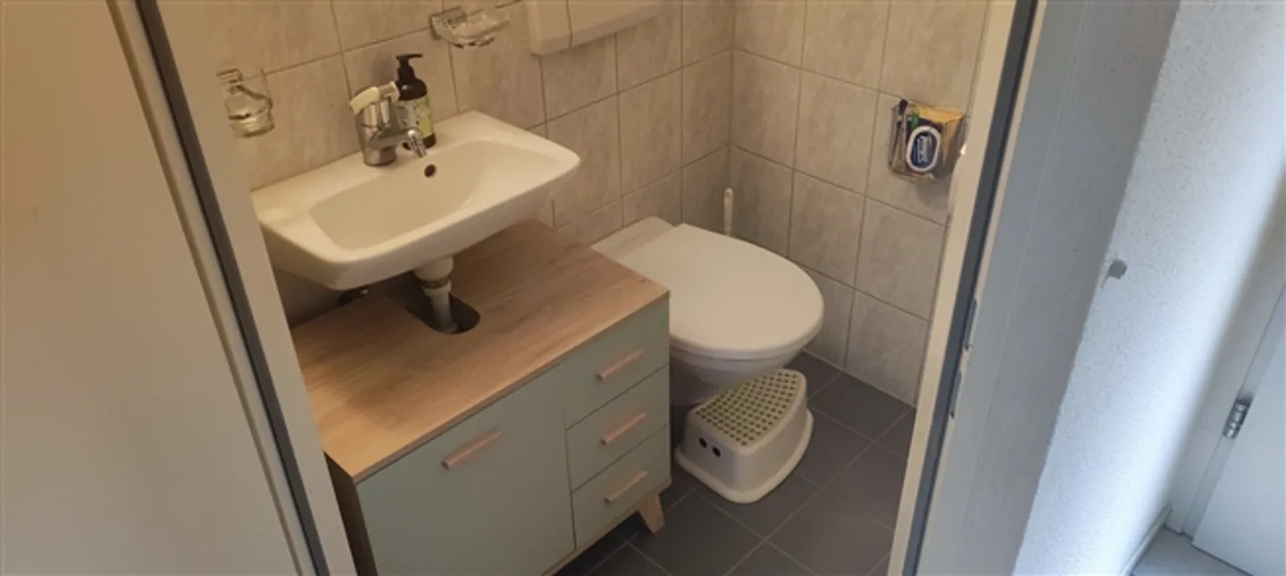 4½ ROOM HOUSE IN OBERGLATT (ZH), FURNISHED, TEMPORARY - Photo 7 of 10