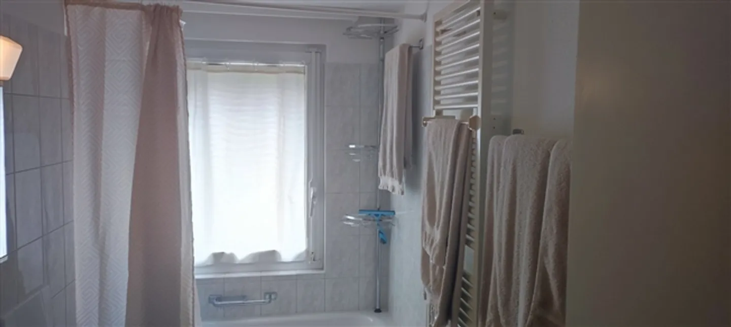 4½ ROOM HOUSE IN OBERGLATT (ZH), FURNISHED, TEMPORARY - Photo 9 of 10