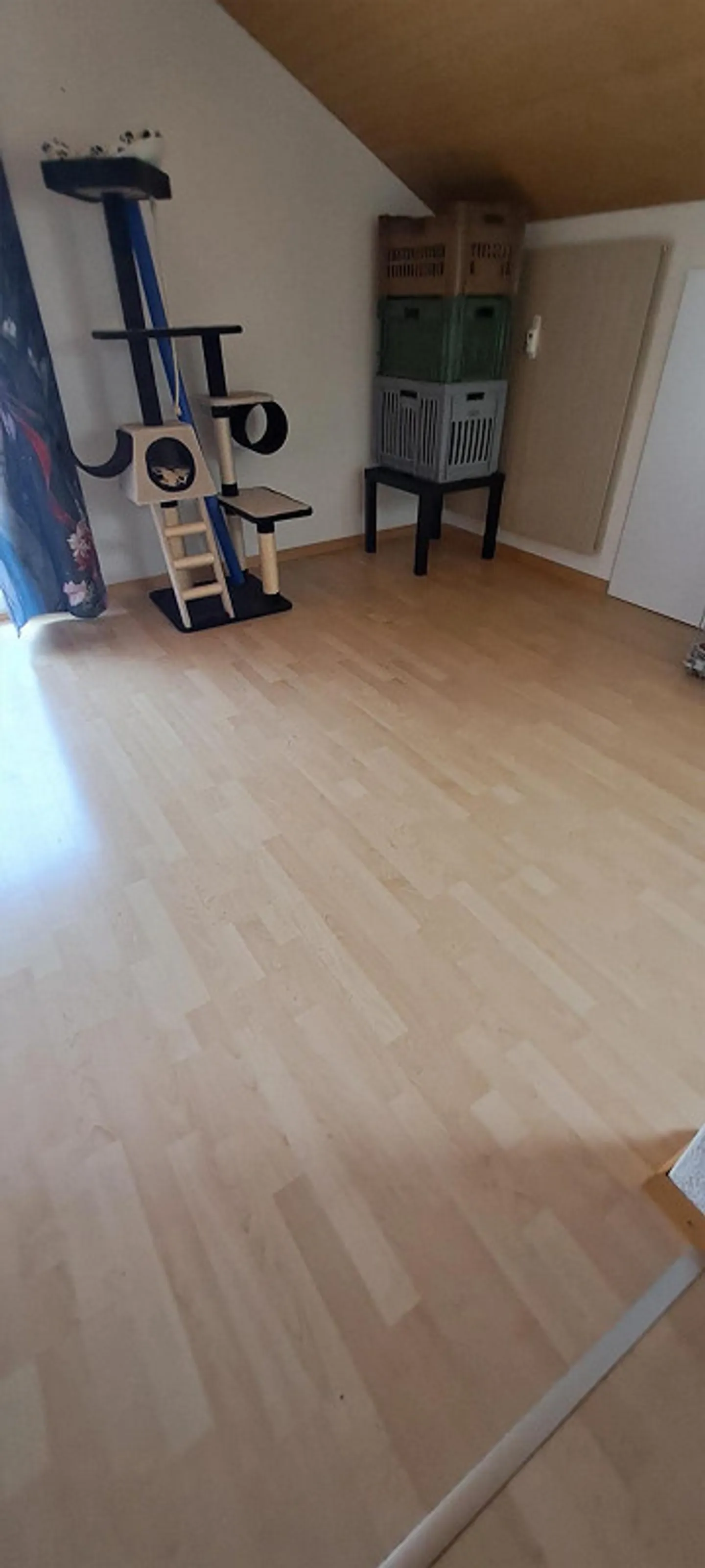 Appartamento accogliente in mansarda - Foto 4 di 7