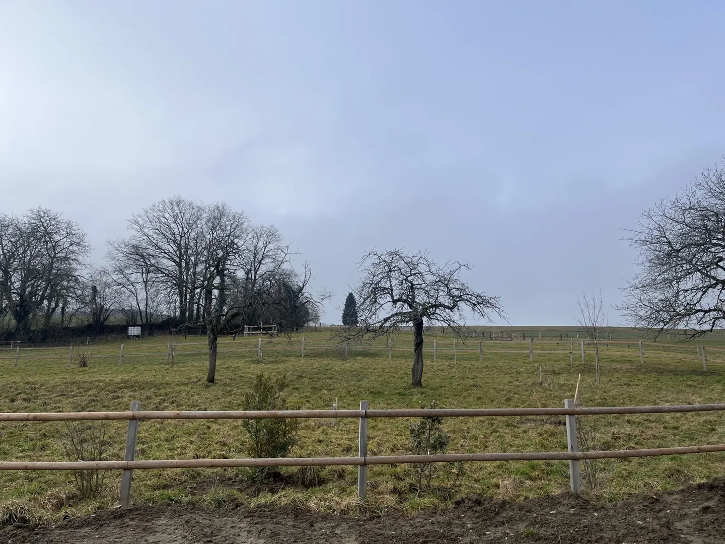 VILLA INDIVIDUALE MAGNIFICA - Foto 1 di 13