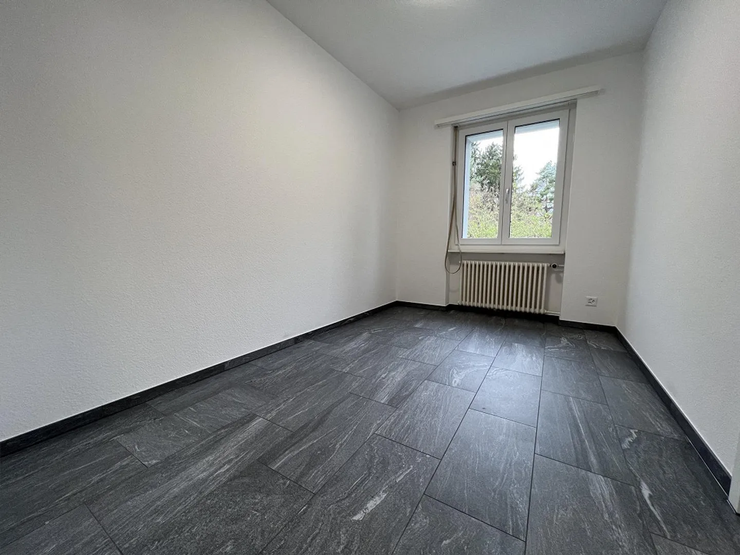 Bright and Cozy Single Apartment - Photo 4 of 9