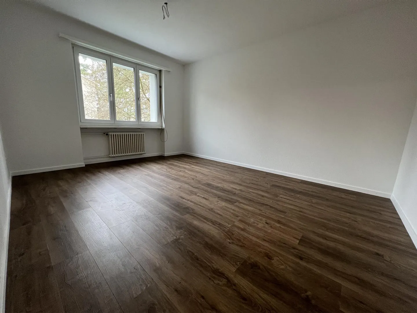 Bright and Cozy Single Apartment - Photo 6 of 9