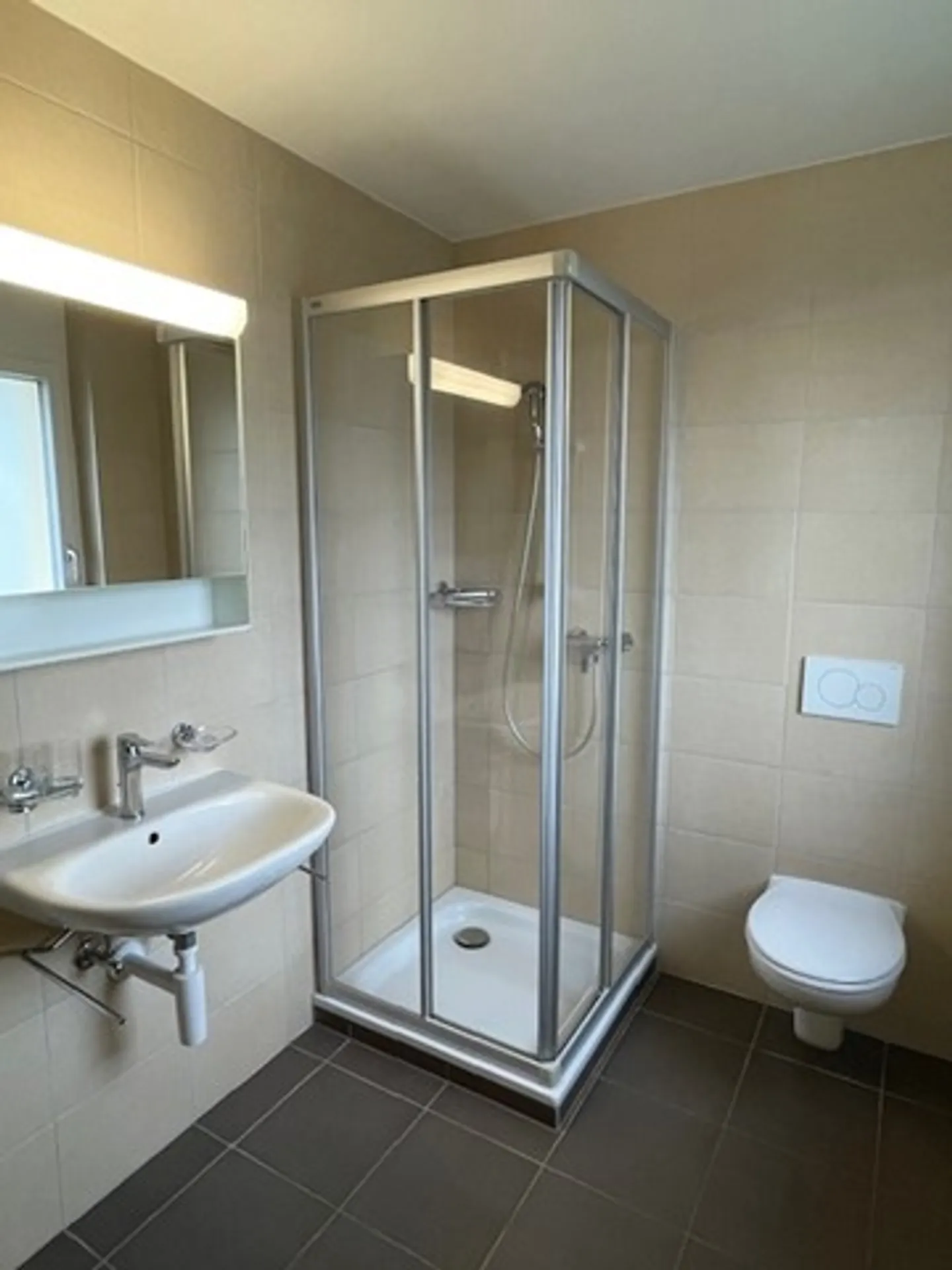 Appartement 4.5 pièces - Photo 3 sur 9