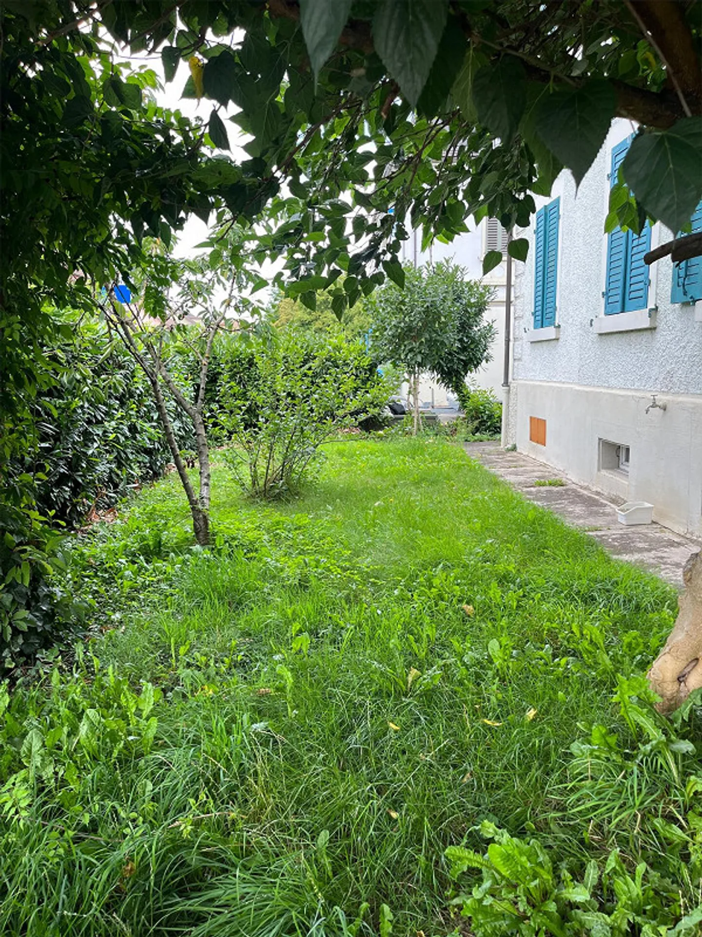 Offerta imperdibile: Casa plurifamiliare con un rendimento del 6,5%! RIDUZIONE DEL PREZZO! - Foto 10 di 13