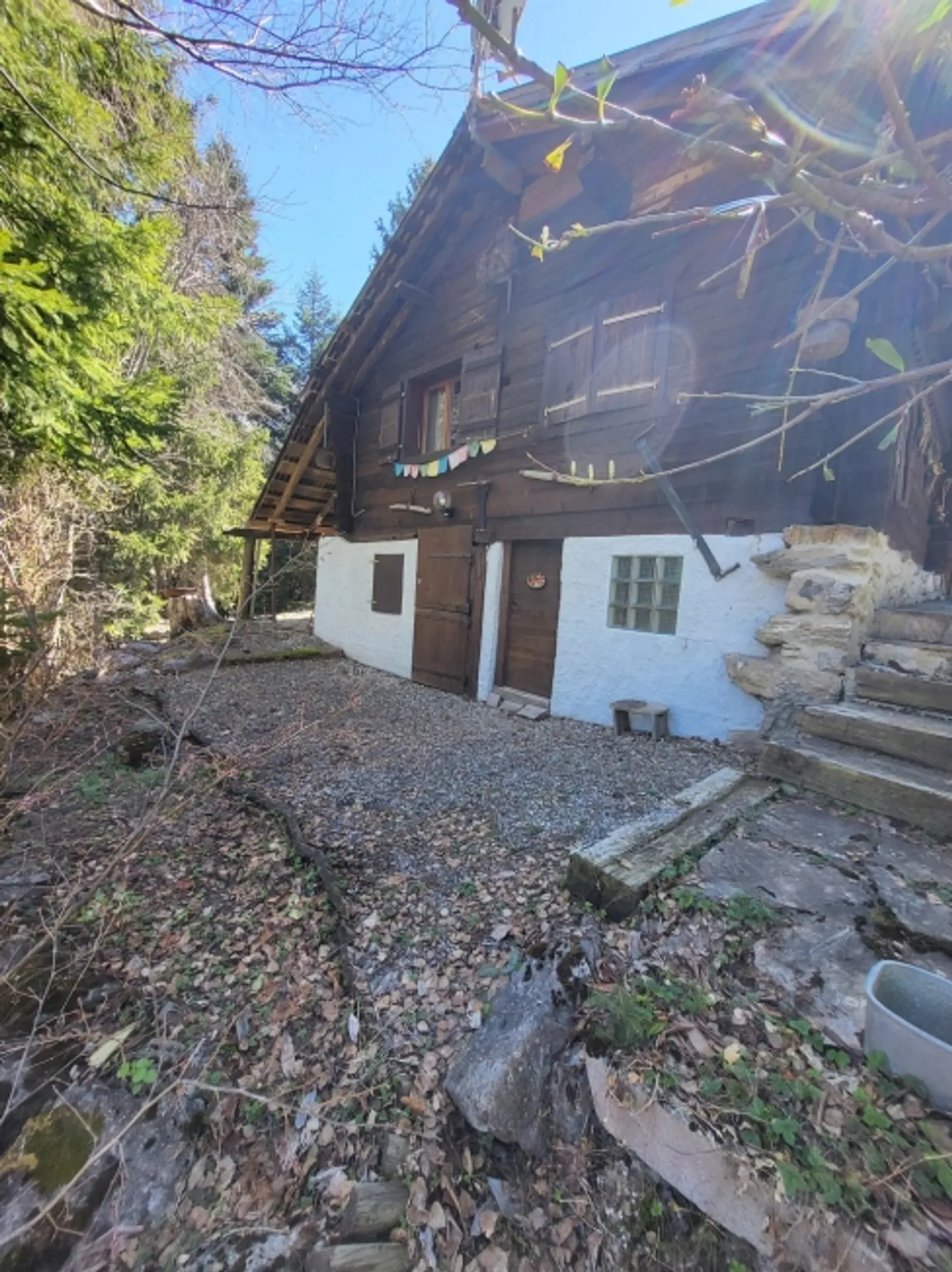 «CHARMING CHALET
SANETSCH-TAL
Nur Zweitwohnsitz» - Foto 1 von 20