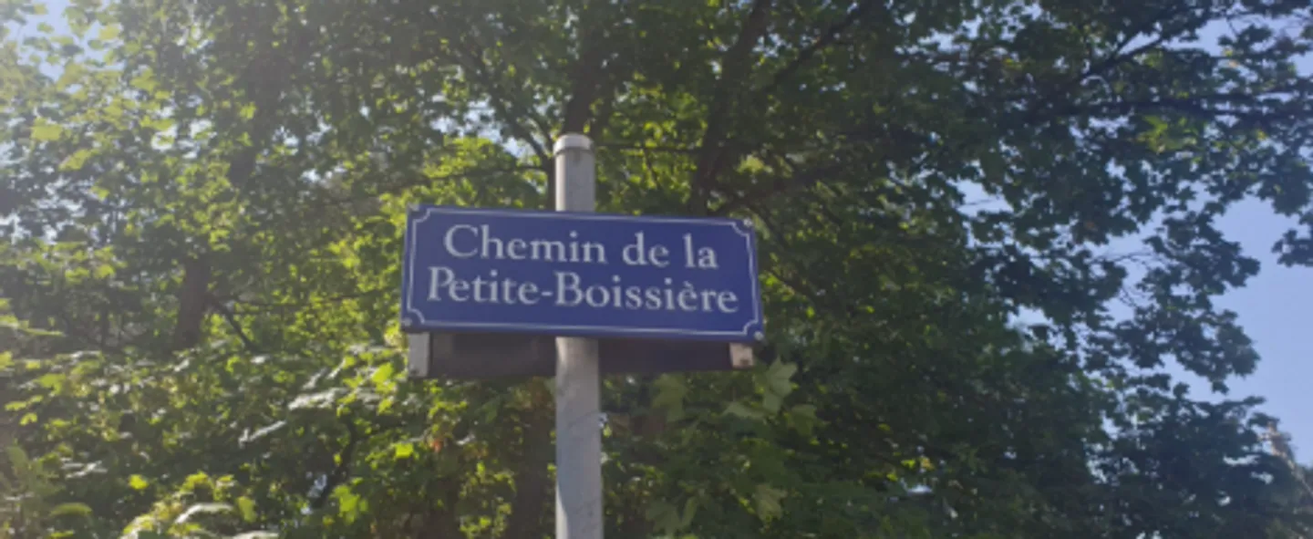 5-Zimmer-Wohnung - Foto 1 von 1