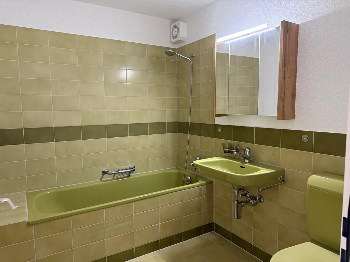 Appartamento 5.5 stanze nel verde - Foto 11 di 14