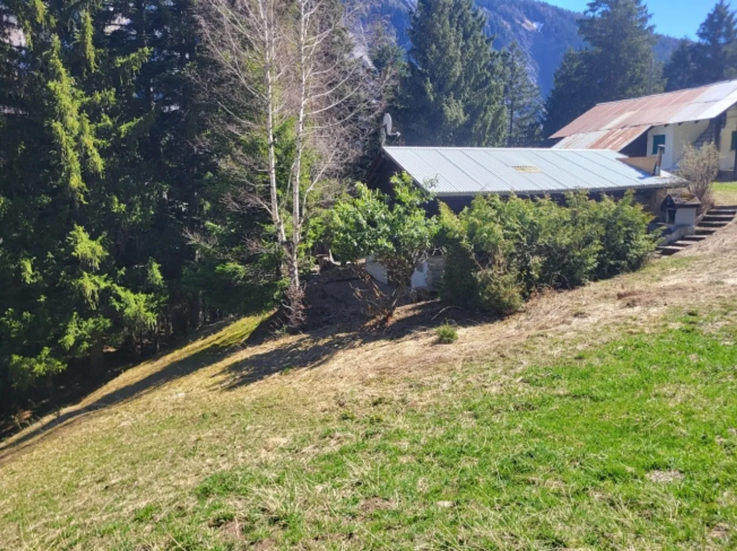 «CHARMING CHALET
SANETSCH-TAL
Nur Zweitwohnsitz» - Foto 2 von 20