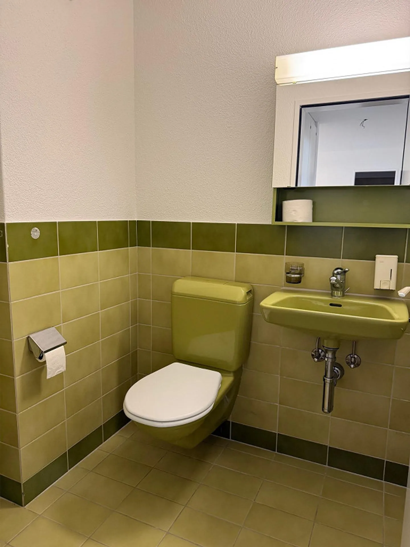 Appartamento 5.5 stanze nel verde - Foto 12 di 14