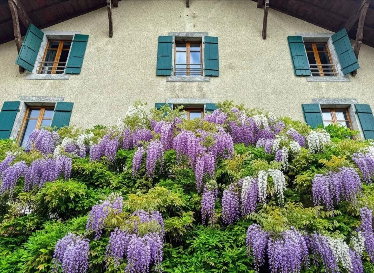 Selten - Dorfhaus im Herzen der Weinberge - Foto 2 von 2