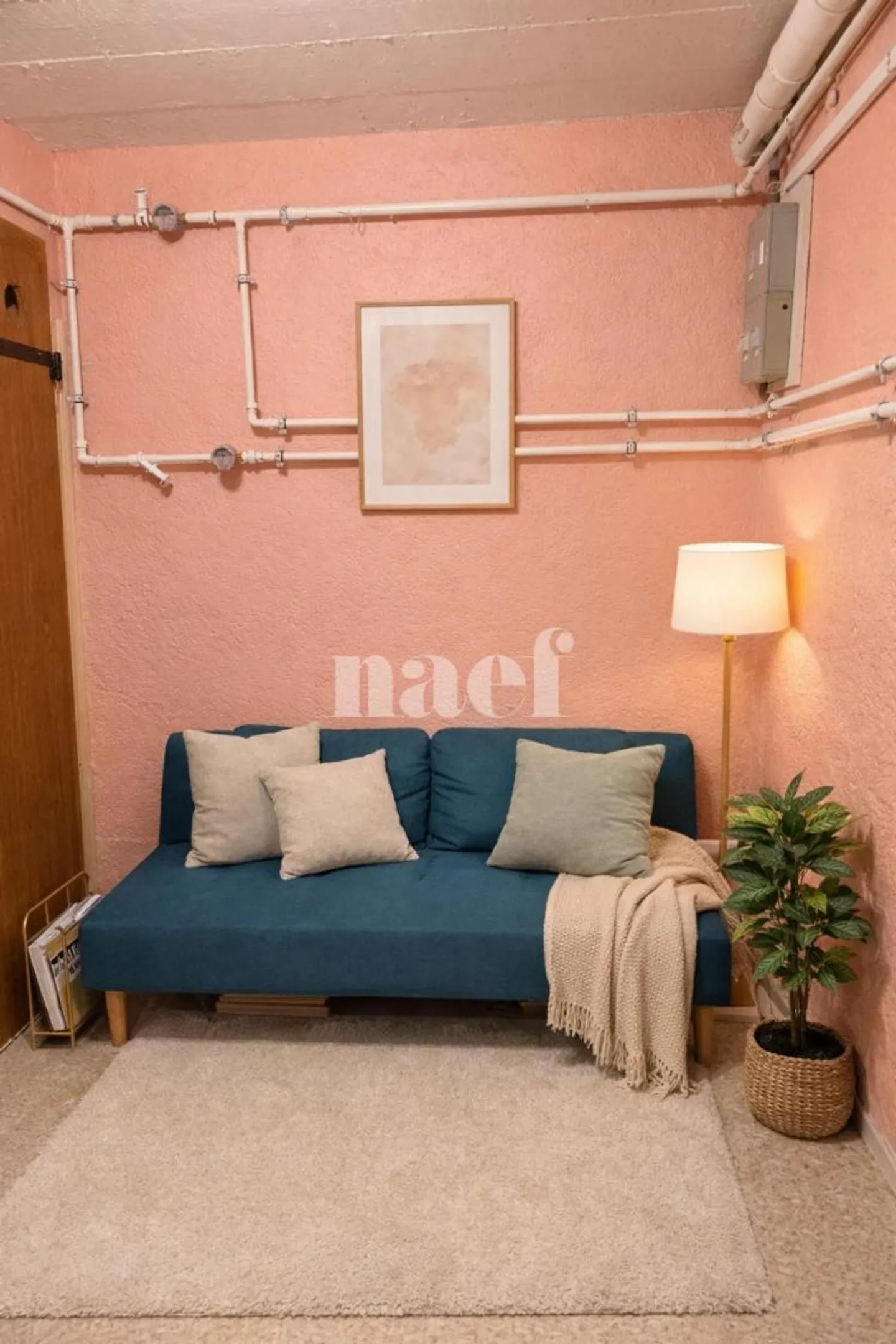 Local avec vitrine et entrée séparée - Photo 3 sur 6