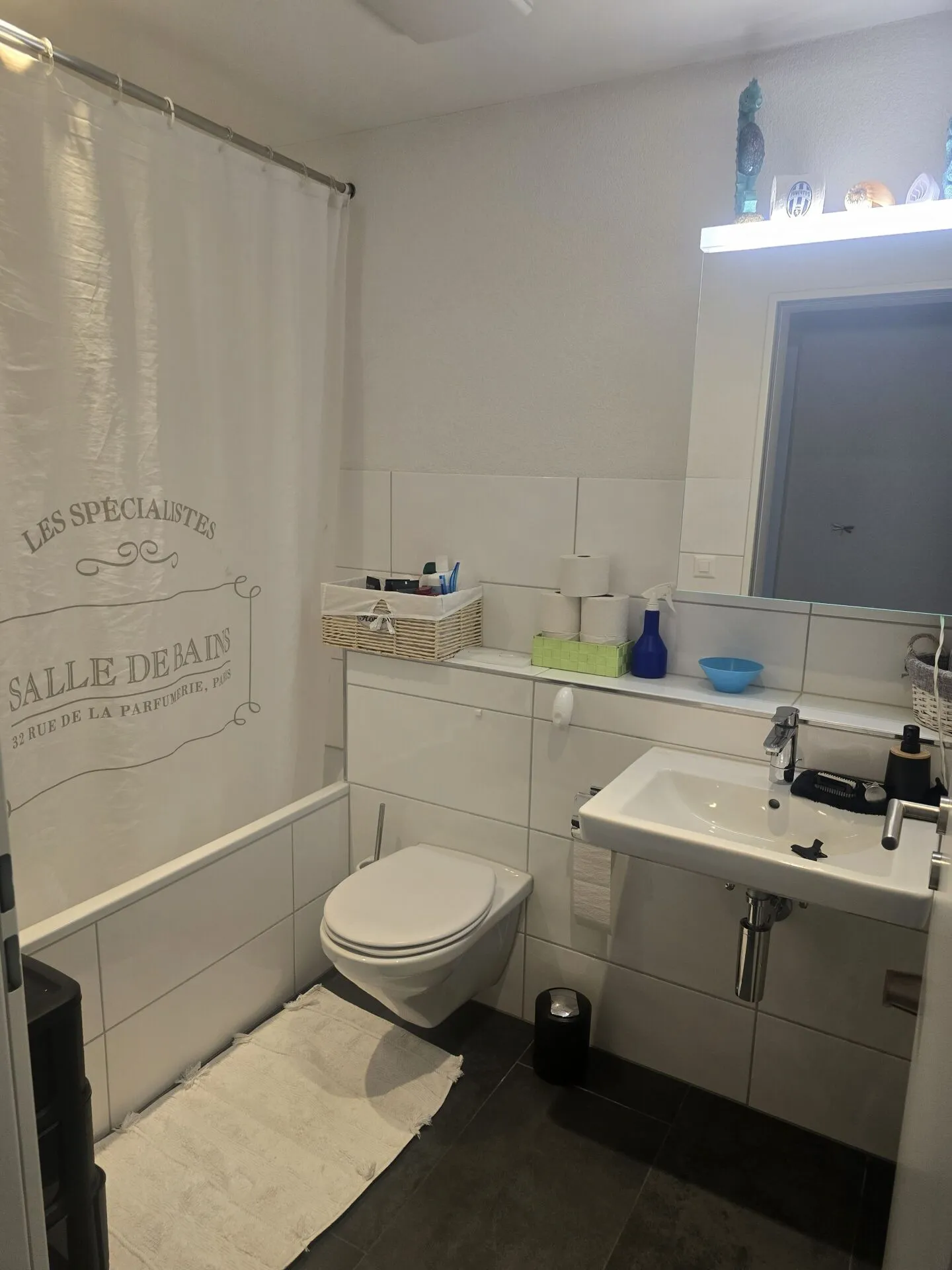 Charmante 4.5 Zimmer Wohnung - Foto 6 von 15