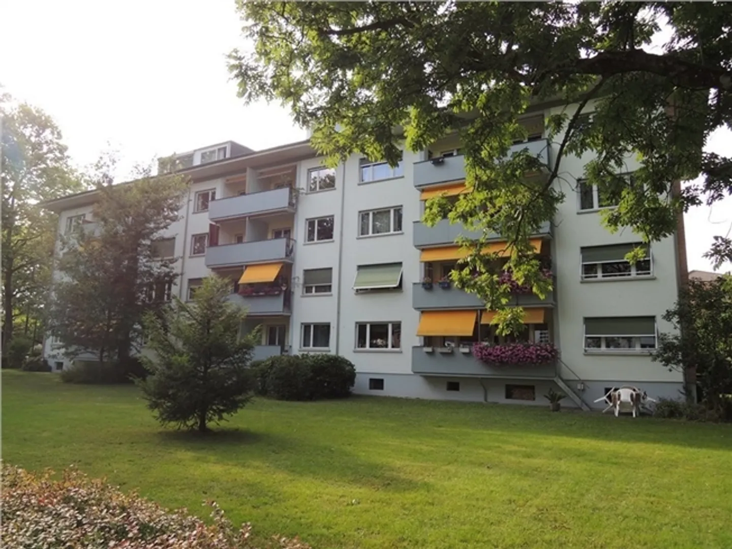 Living in the popular Breitenrain district - Photo 1 of 5