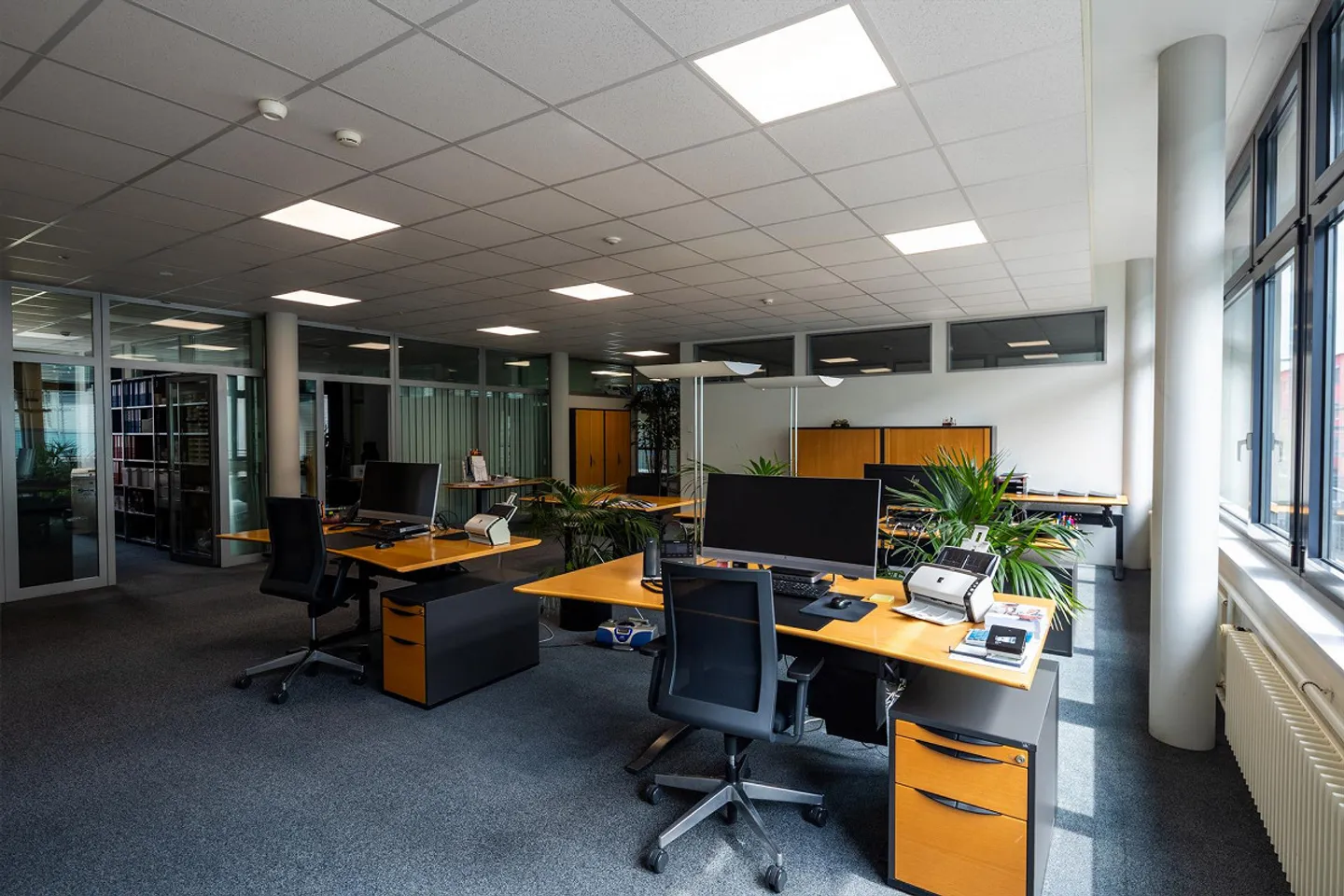 Felicità in ufficio nel Business Park di Berna - Foto 1 di 9