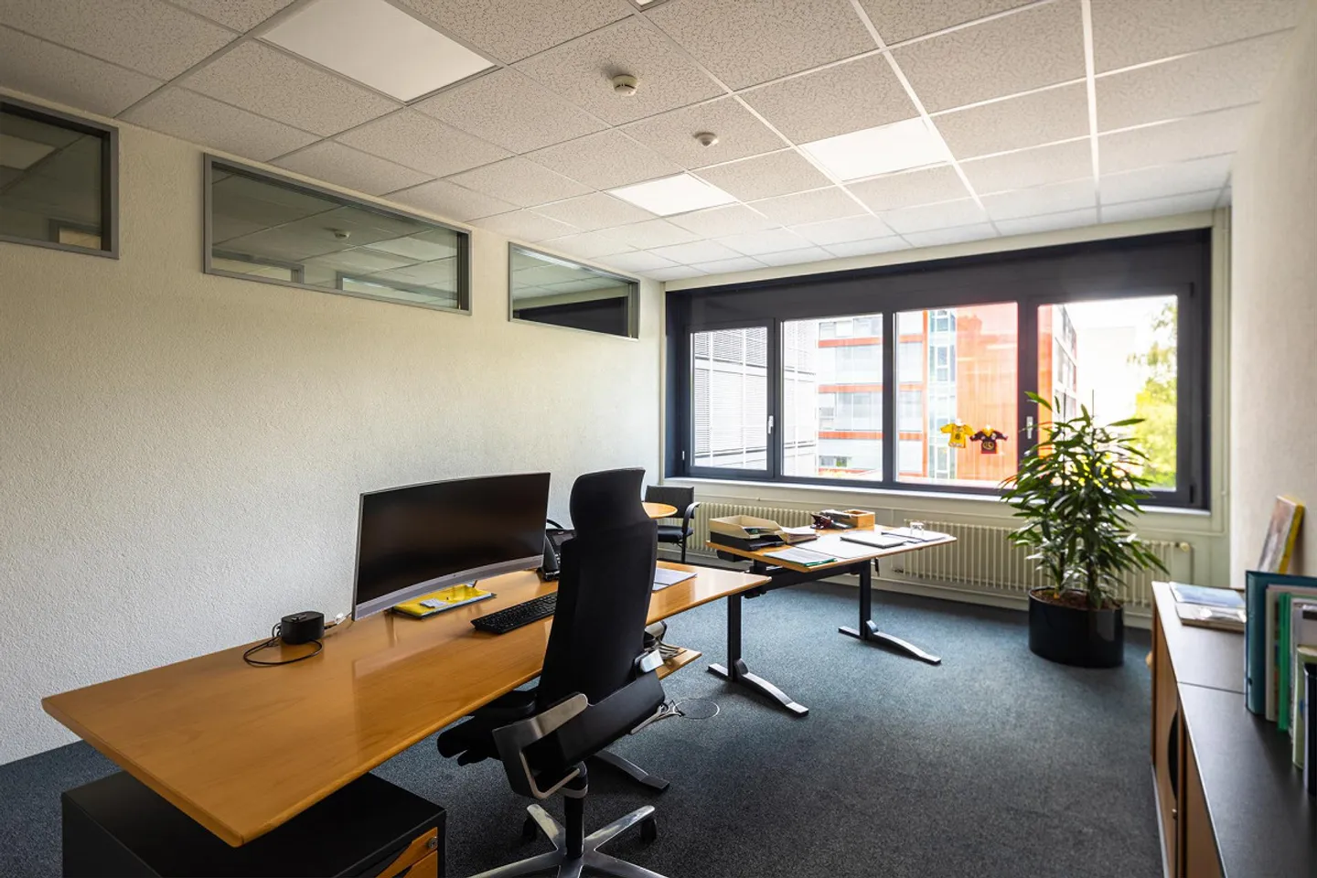 Felicità in ufficio nel Business Park di Berna - Foto 4 di 9