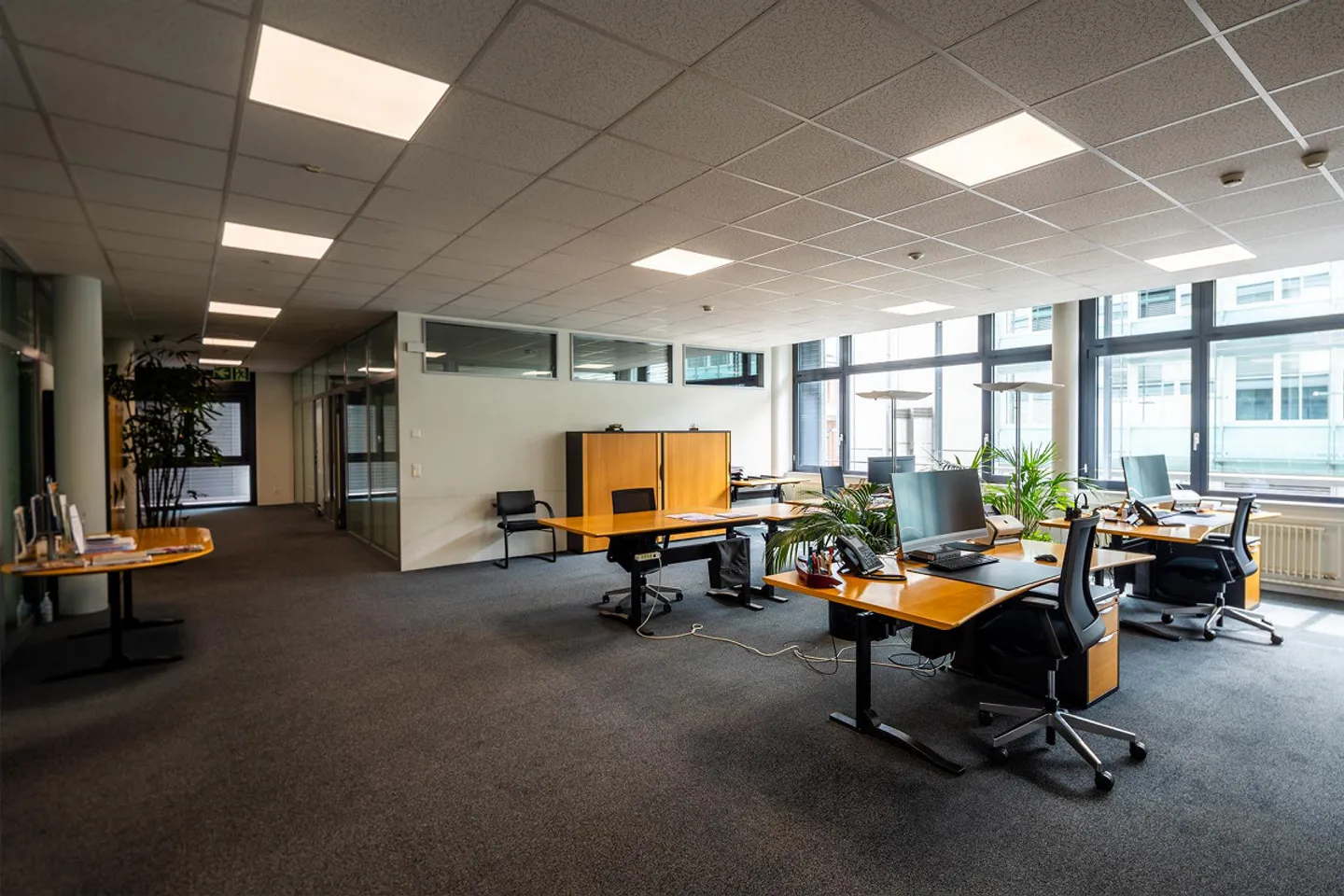 Felicità in ufficio nel Business Park di Berna - Foto 8 di 9