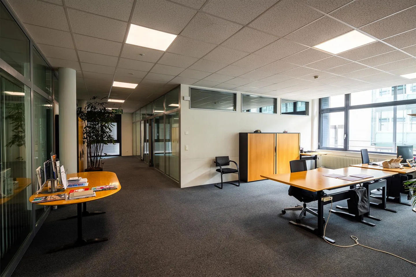 Felicità in ufficio nel Business Park di Berna - Foto 9 di 9