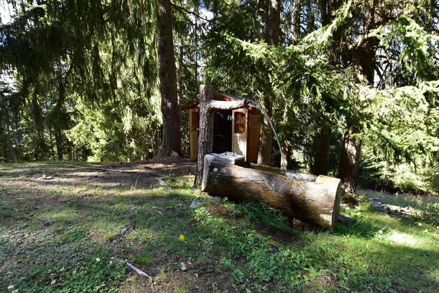 Einzigartiges Maiensäss in der Natur - Foto 17 von 18