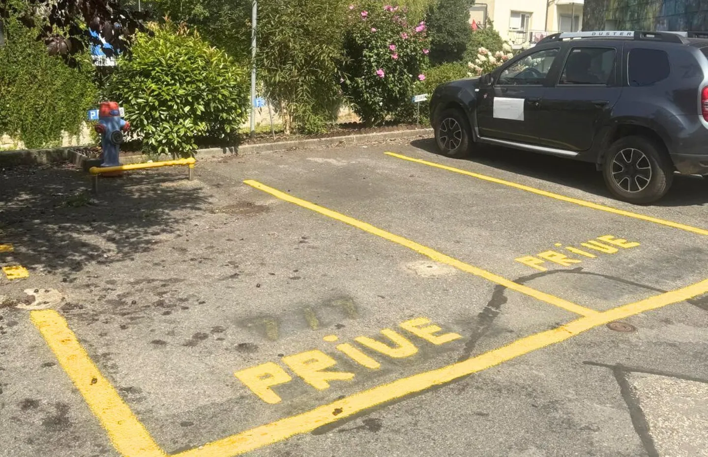 Appartamento in contante a Moudon – 2,5 stanze con 90 m² - Foto 3 di 11