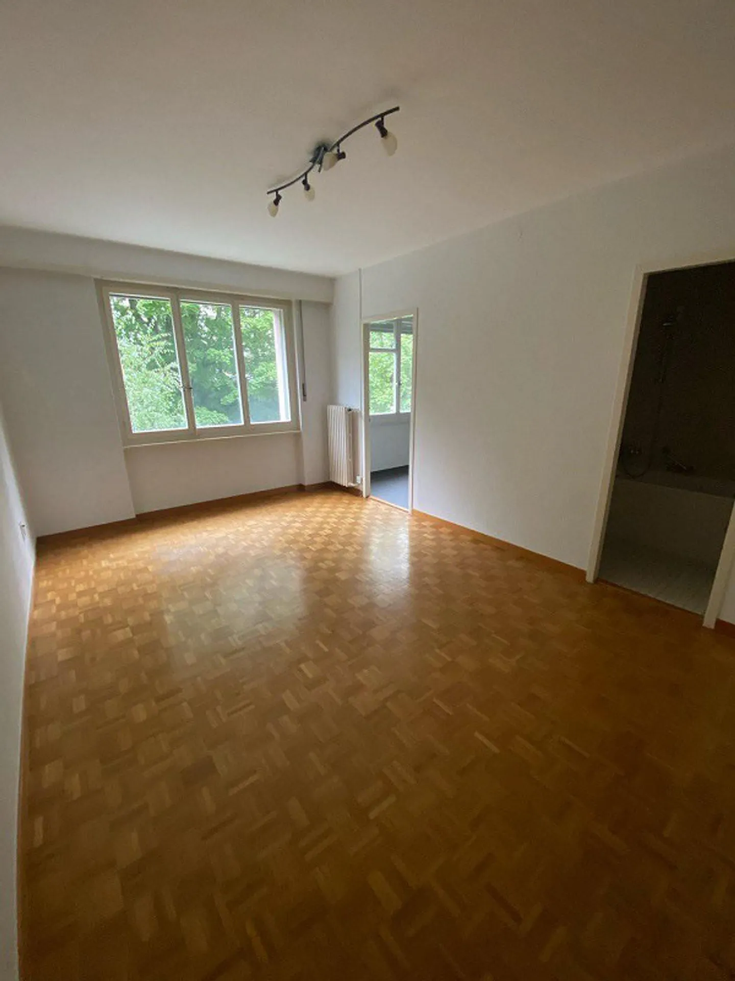 Beautiful studio with renovated furnishings and a magnificent view of the lake, quiet location. - Photo 2 of 3