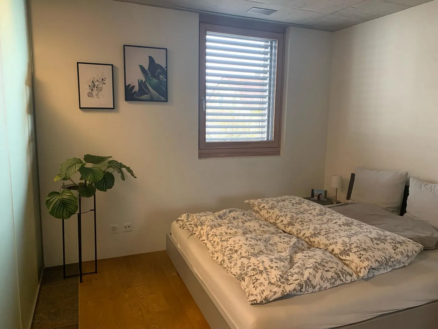 Moderno appartamento di 2,5 stanze con balcone in affitto - Foto 4 di 6