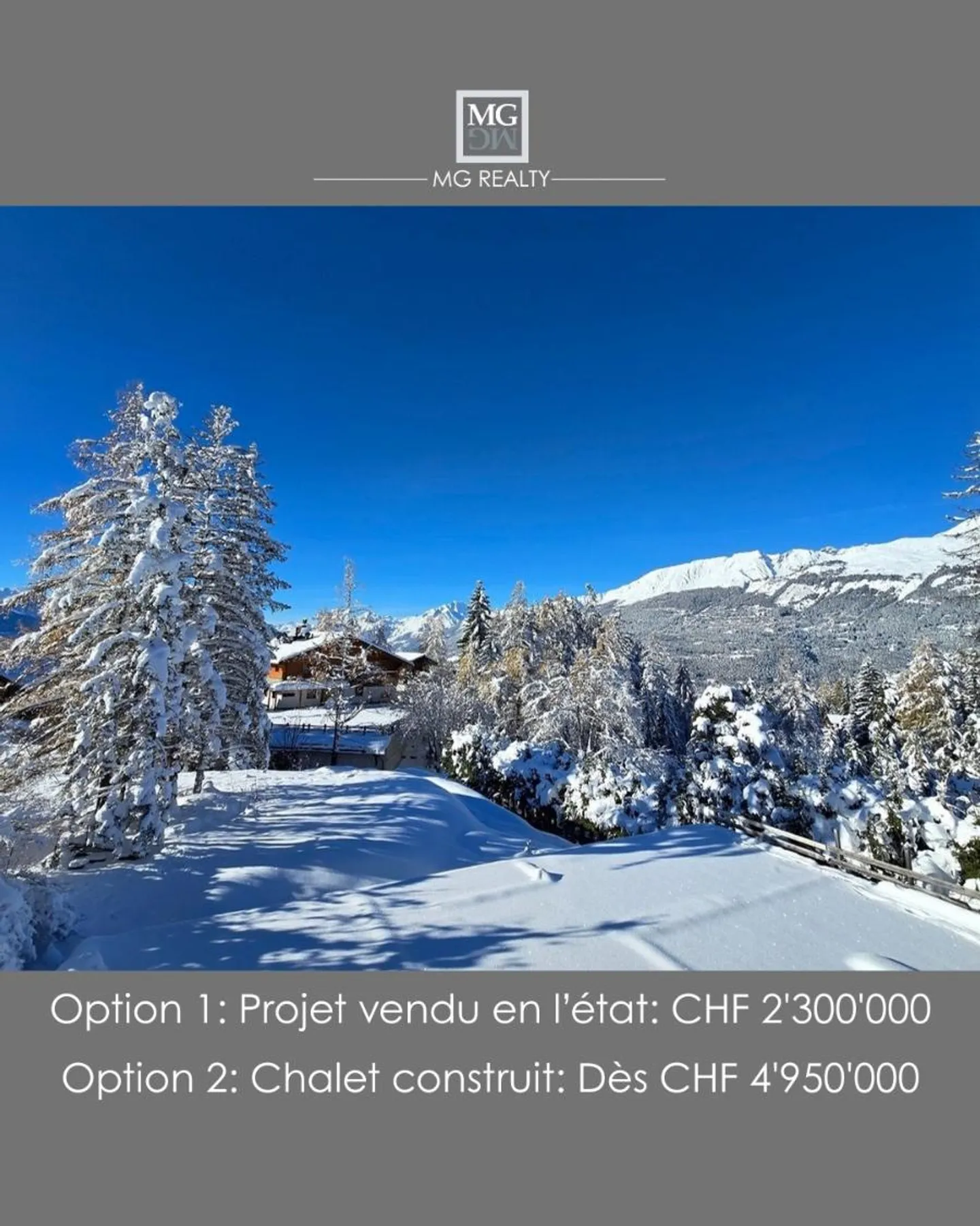 Chalet 8.5 rooms - Photo 3 of 5