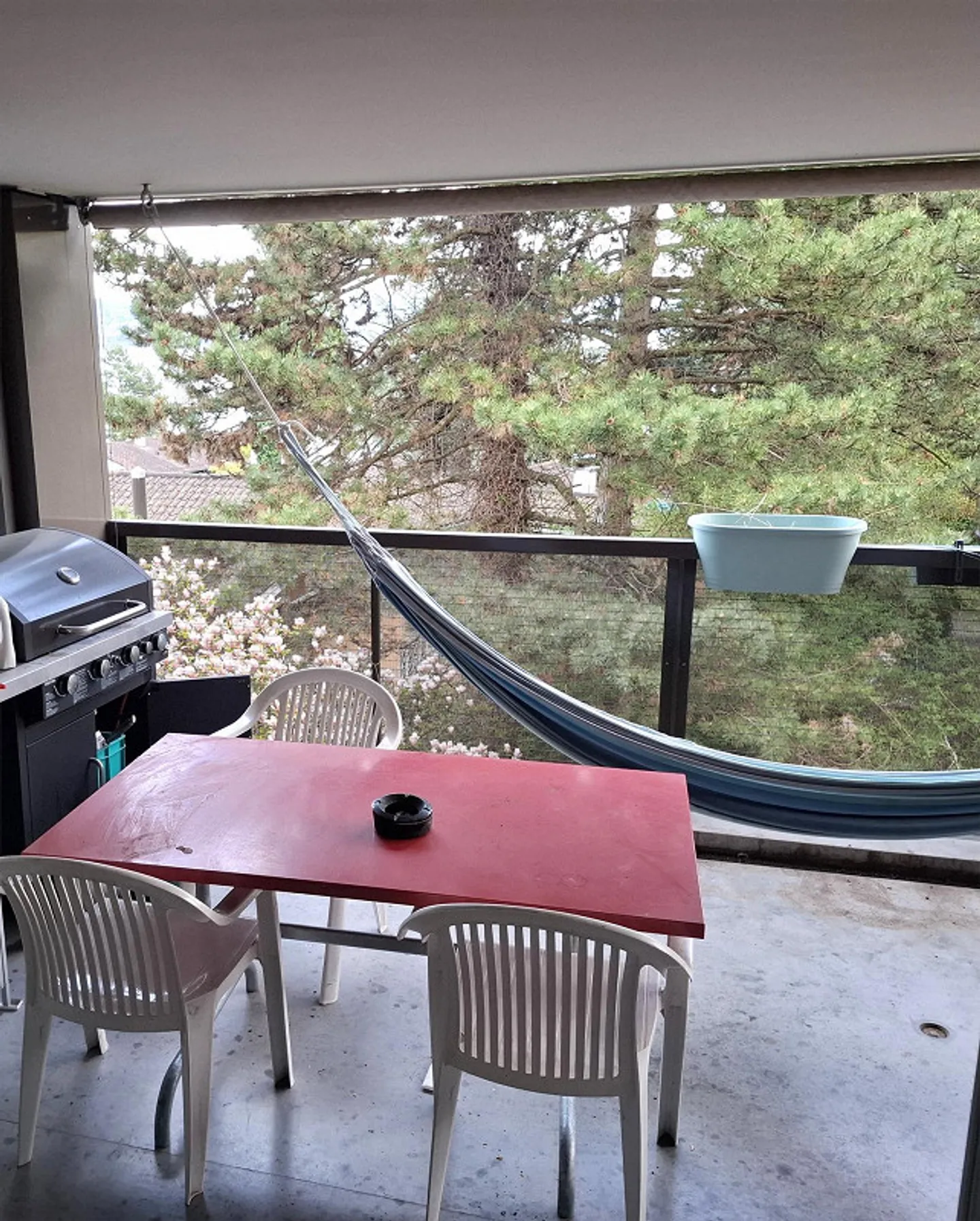 Roommate wanted for apartment in Rüschlikon - Photo 6 of 6