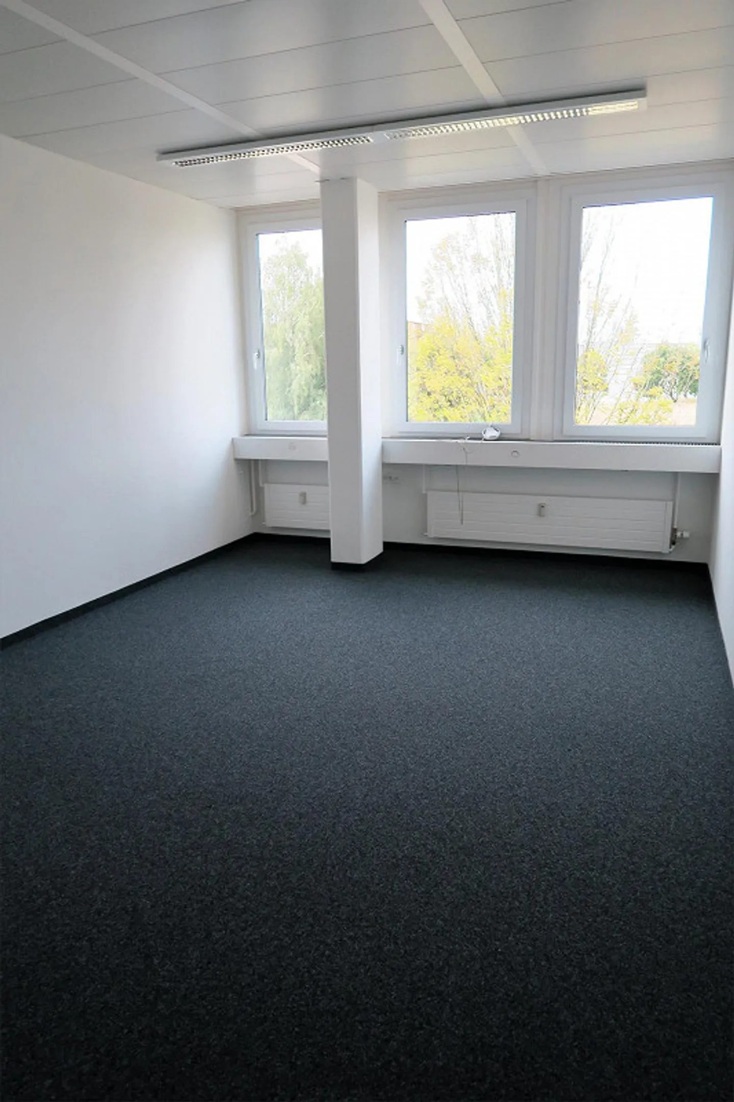 Ufficio singolo o superficie totale! Flessibilmente progettato e utilizzabile! - Foto 13 di 15