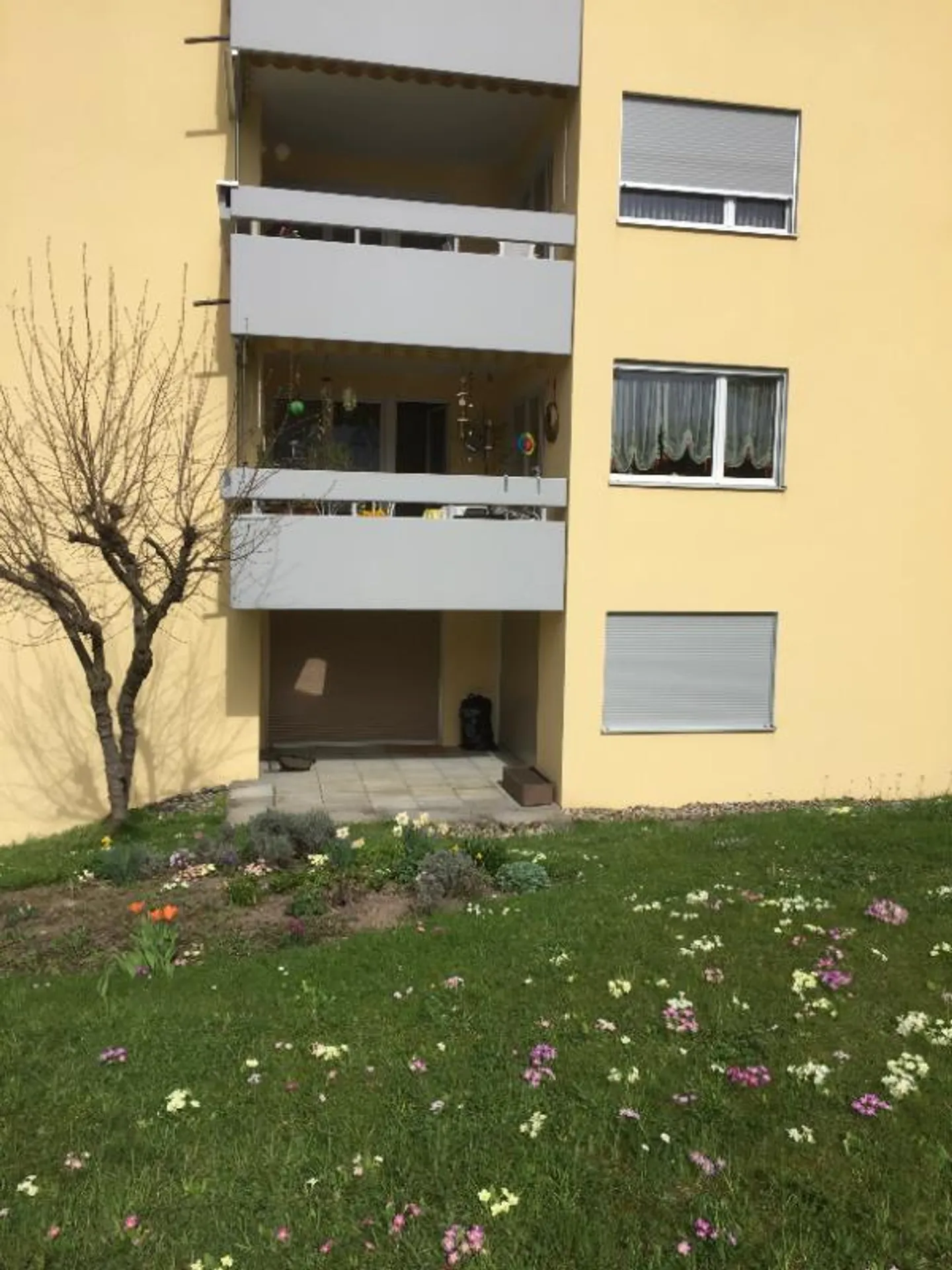 Appartement 1,5 pièces - Photo 2 sur 5