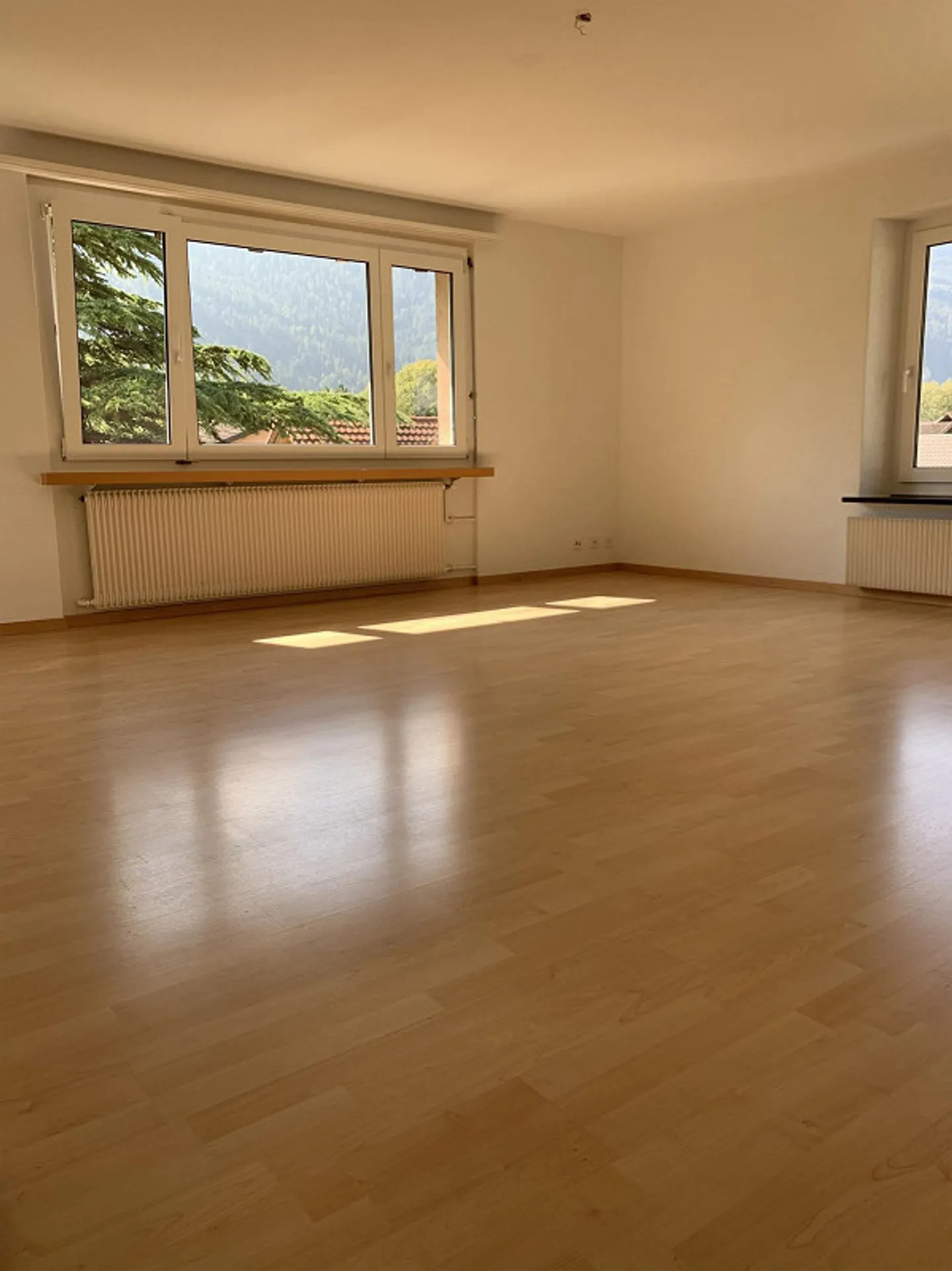 Besonnte 4.5 Zimmer-Wohnung - Foto 5 von 11