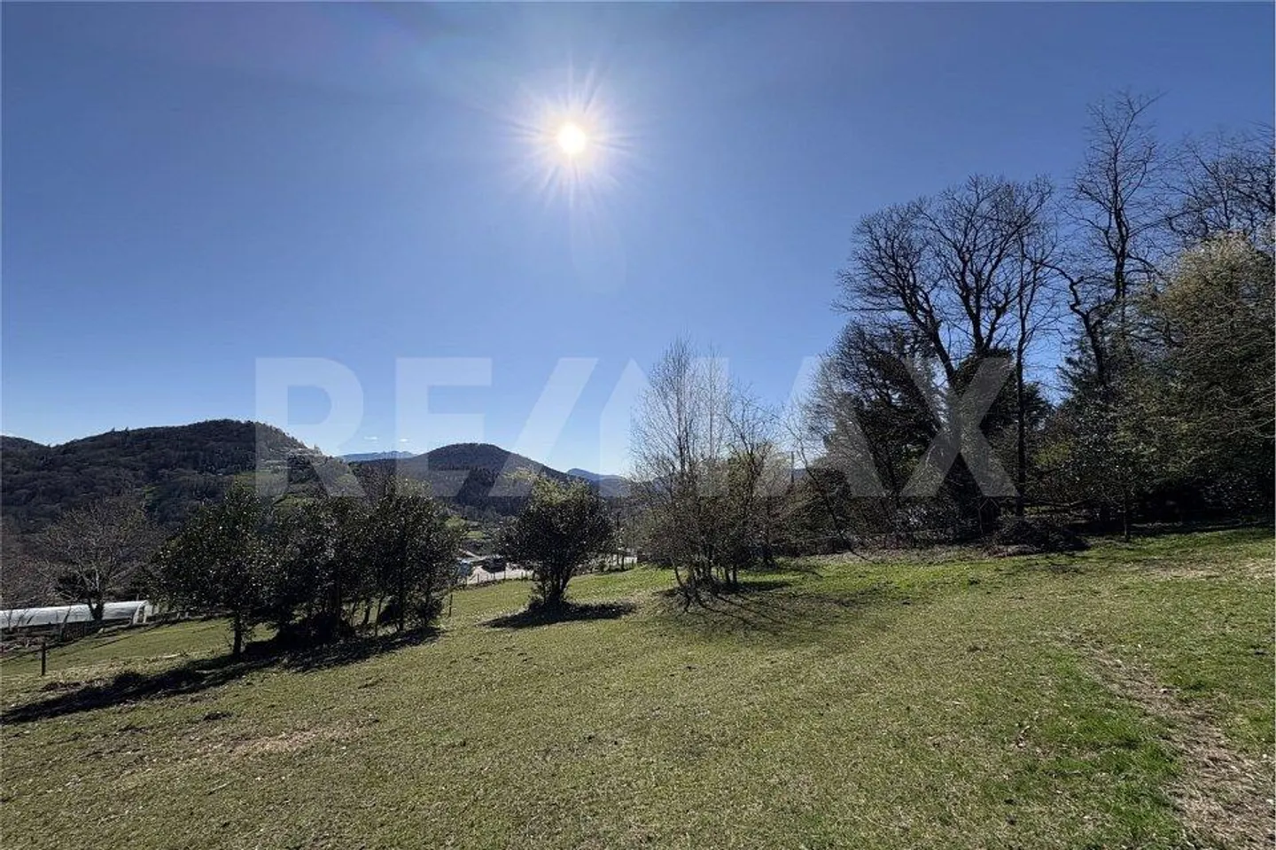 Terreno edificabile per amanti dei cavalli - Foto 6 di 6