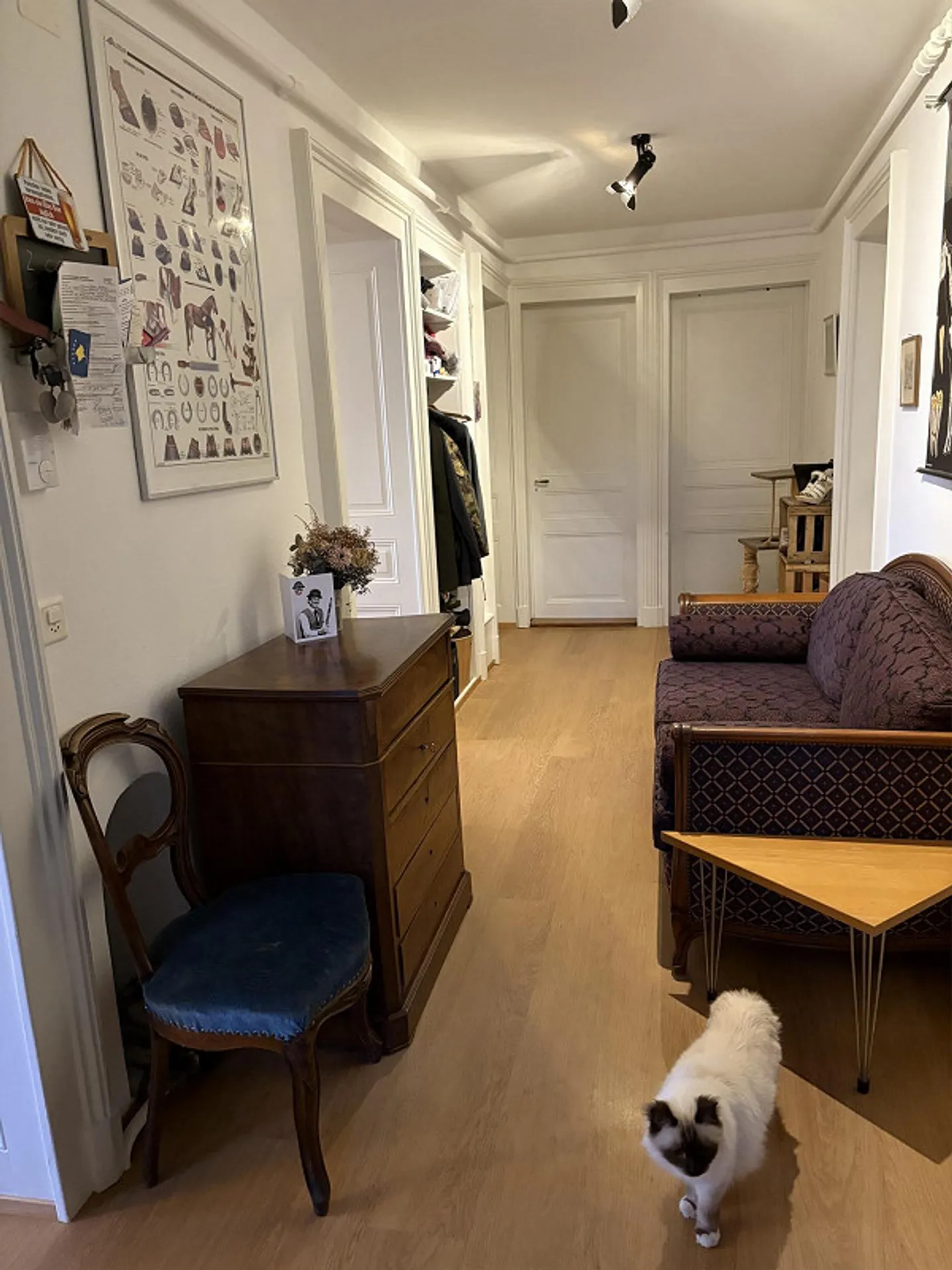 Very nice spacious 4 1/2 room apartment with lake view - Photo 4 of 9