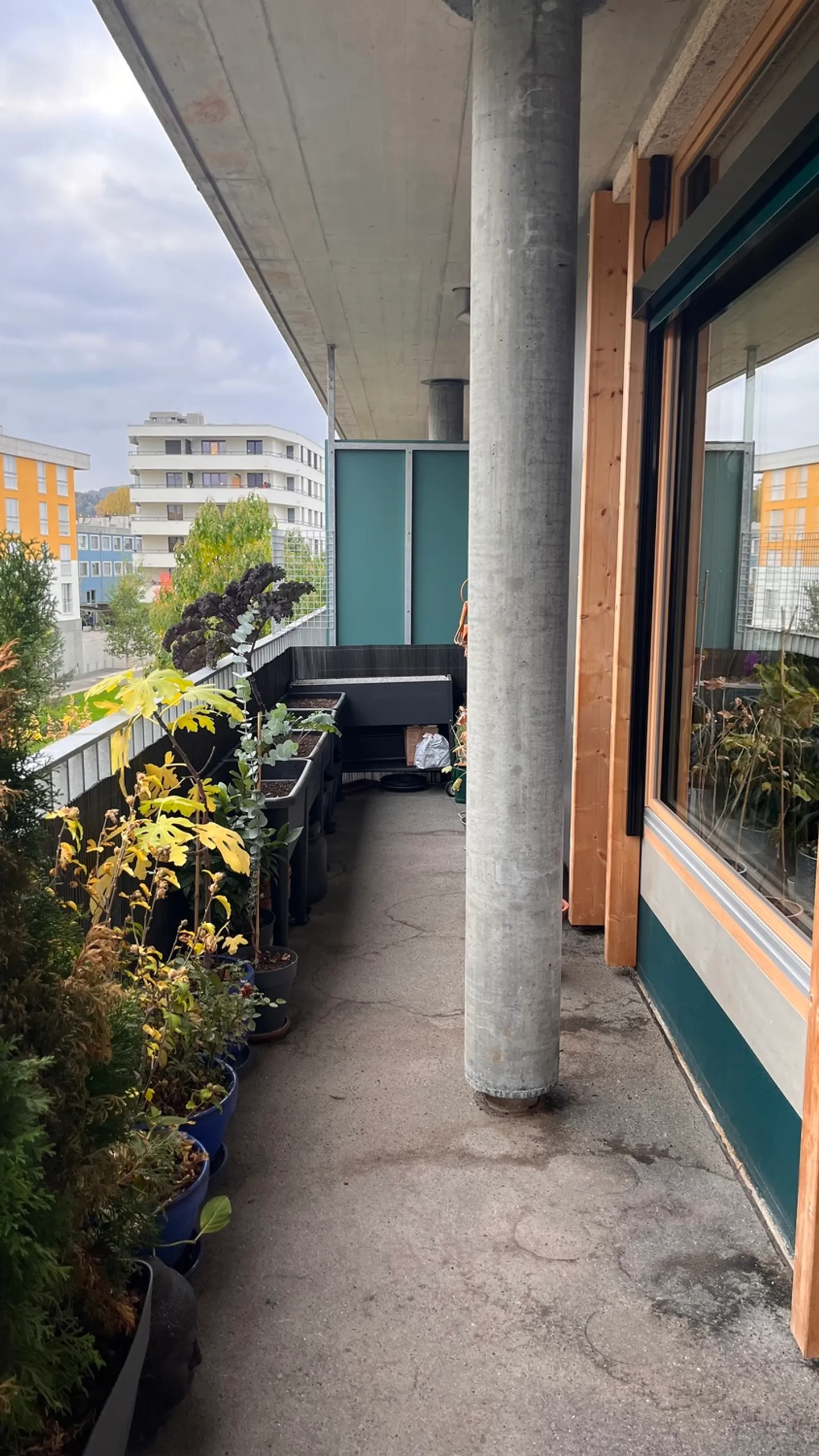 2 ROOM APARTMENT IN SCHLIEREN (ZH), FURNISHED, TEMPORARY - Photo 5 of 10