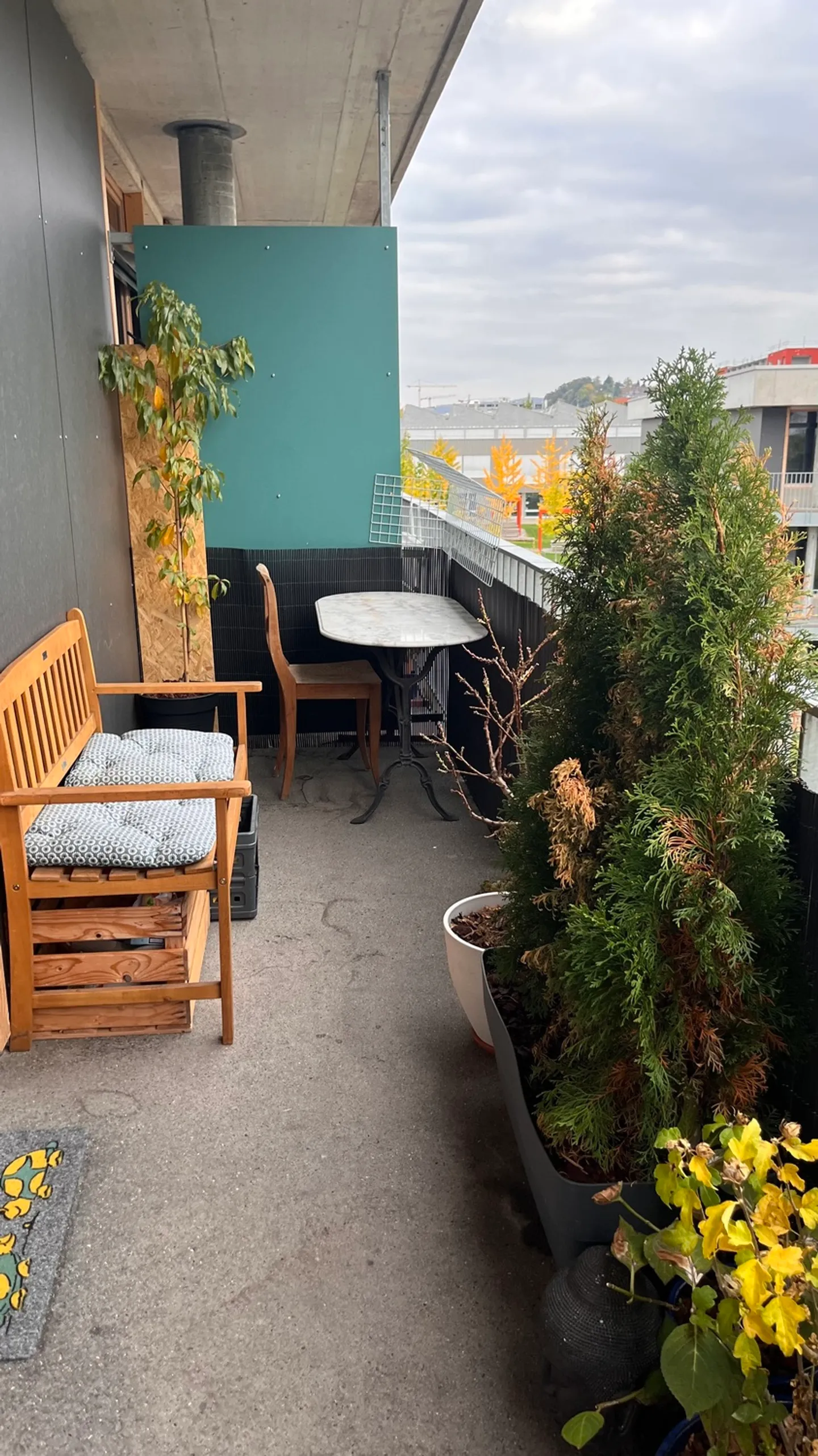 2 ROOM APARTMENT IN SCHLIEREN (ZH), FURNISHED, TEMPORARY - Photo 9 of 10