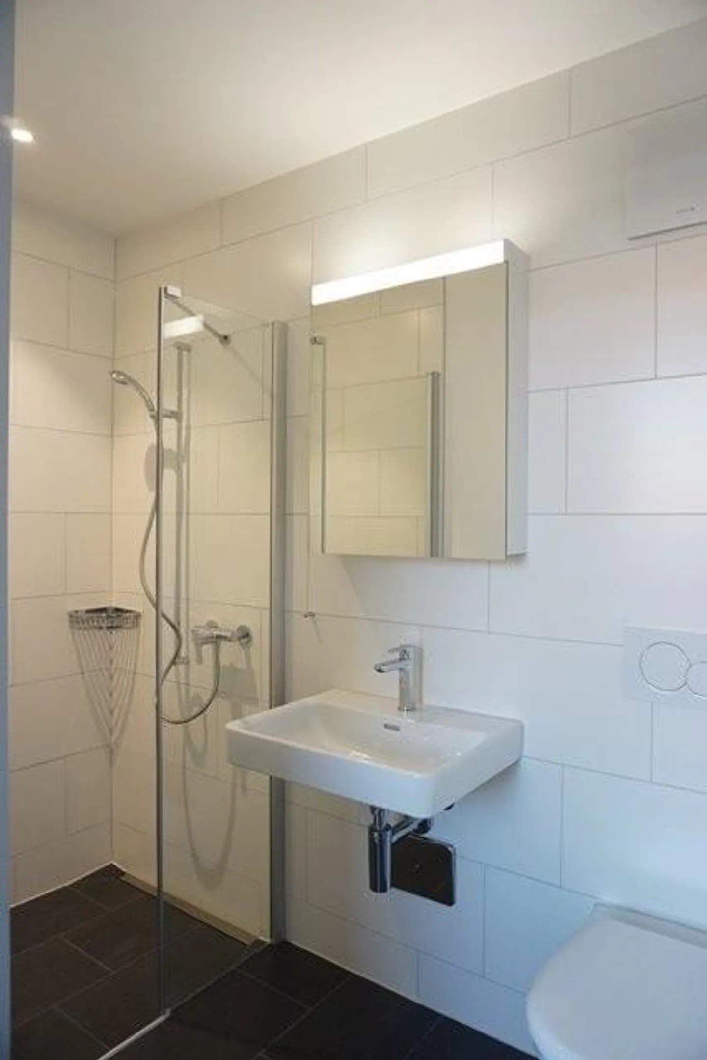 Appartamento 3.5 stanze vicino al Lago di Costanza! - Foto 6 di 9