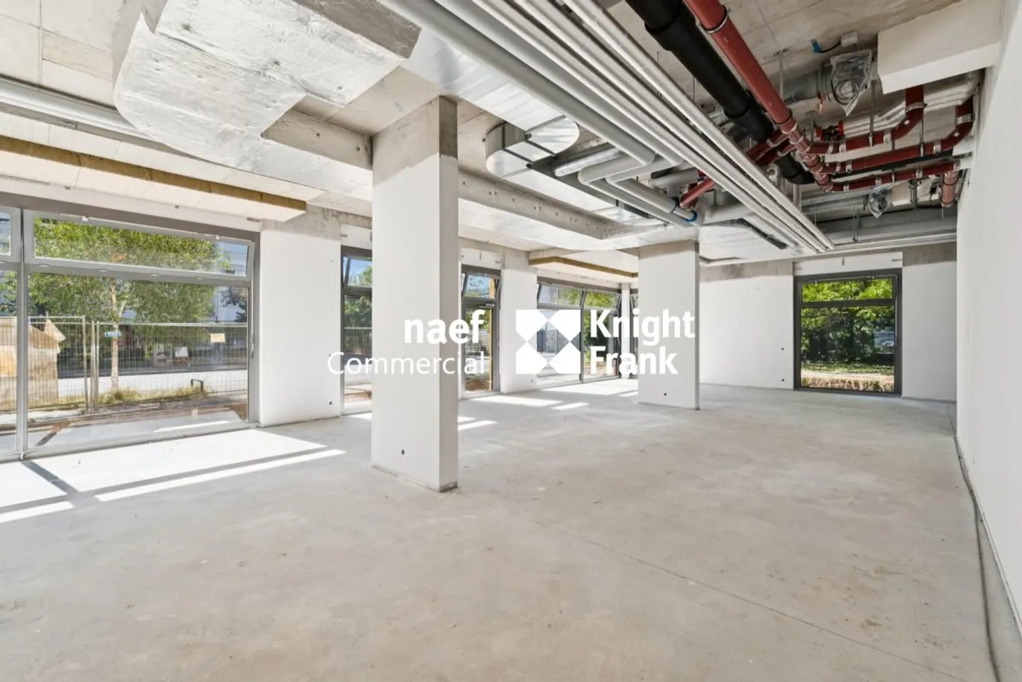 Arcade de 191 m² à louer - Petit-Saconnex - Photo 4 sur 6