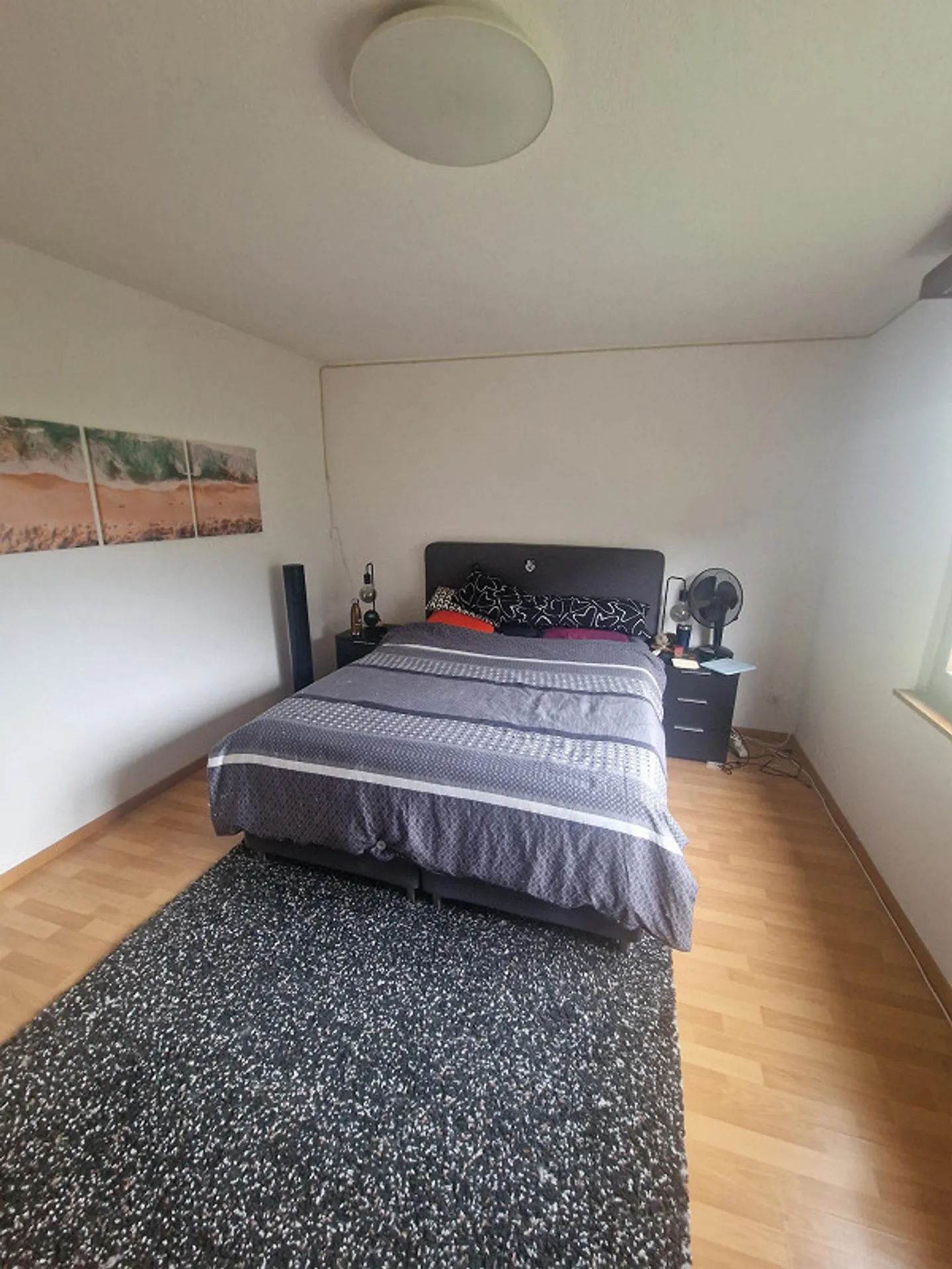 4.5 Room Apartment in Rhäzüns - Photo 14 of 21